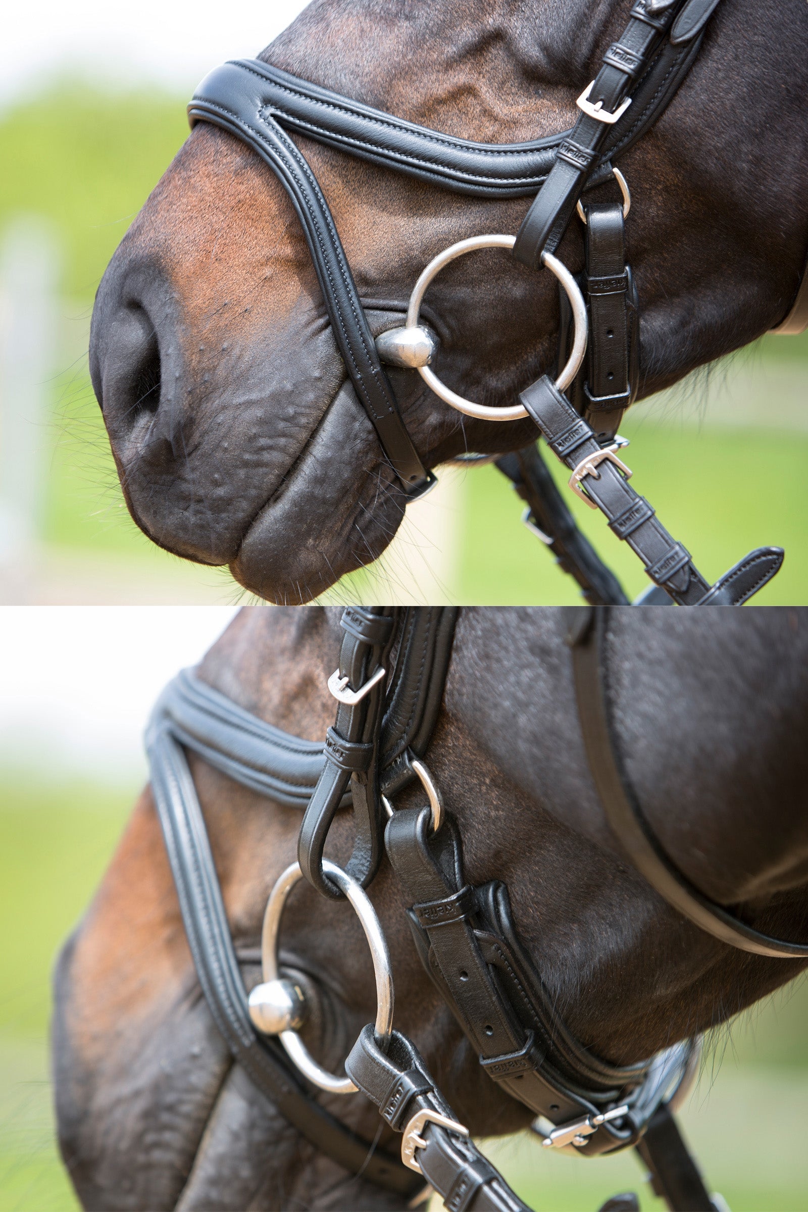 Kieffer Ultrasoft® Tara Bridle Bridles & Reins