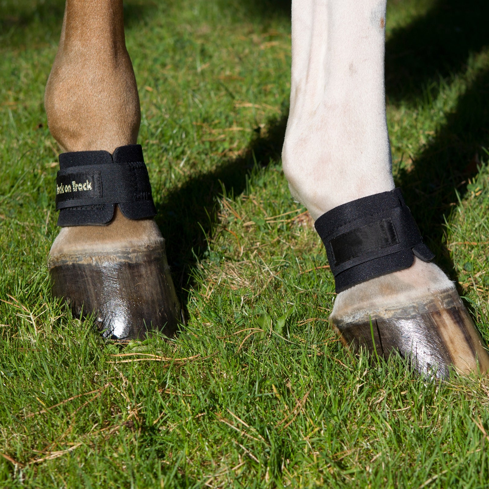 Back on Track Opaska na pęcinę Back On Track Leg Protection & Hoof Protection for Horses