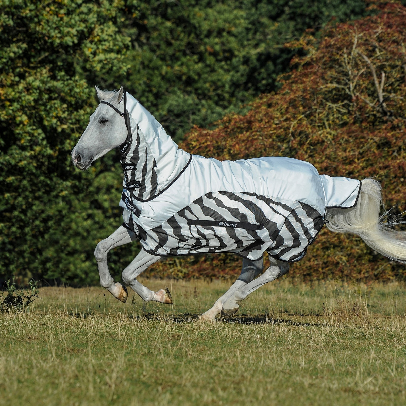 Bucas Buzz-off Zebra Rain Full Neck Fly Rug with fixed Neck Horse Rugs