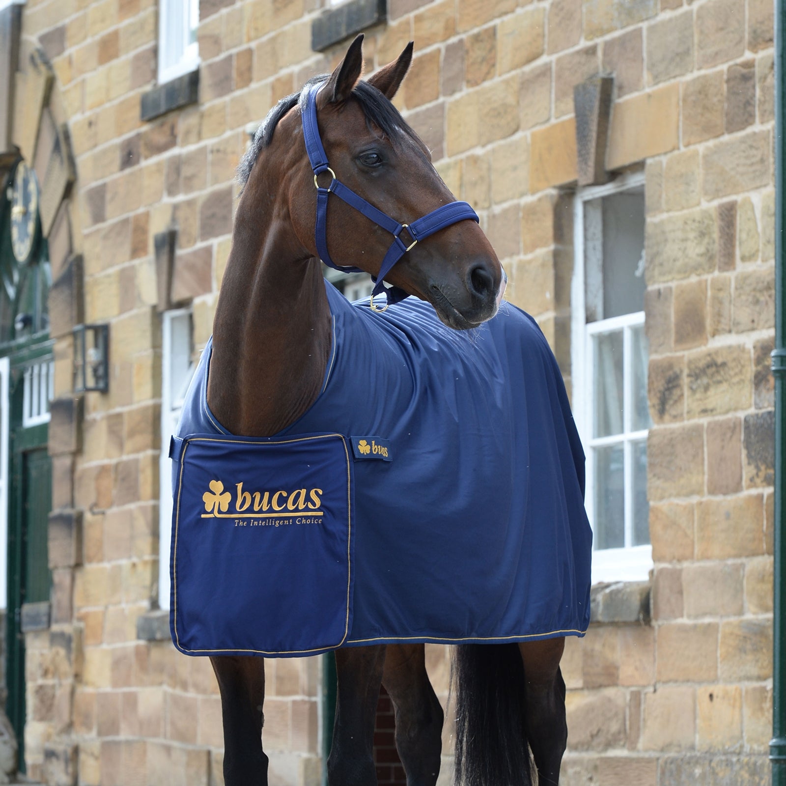 Bucas Panel Prize Cooler Derki