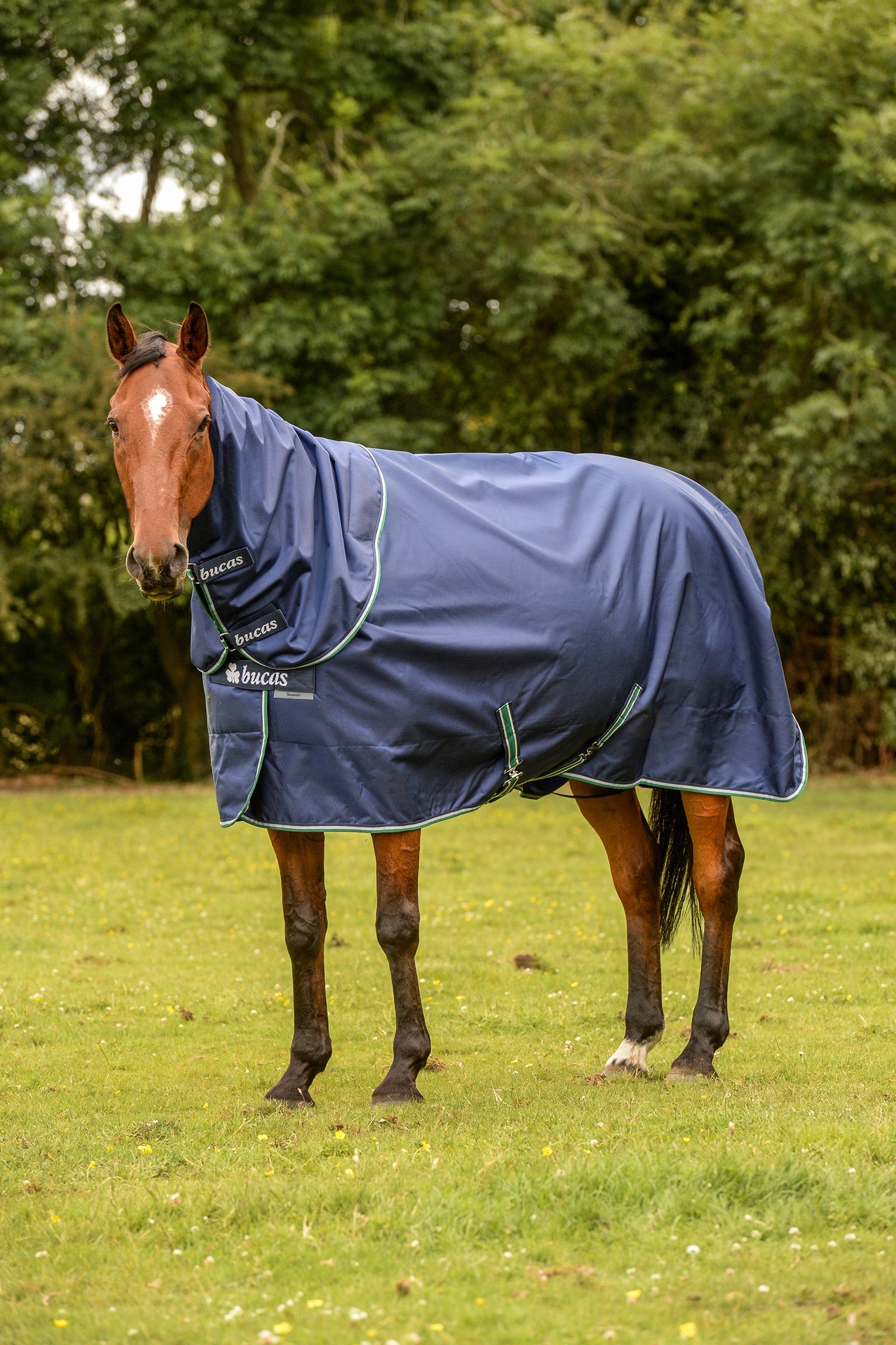 Bucas Smartex Rain Pony Turnout Rug with Cooling Function, 0g Derki