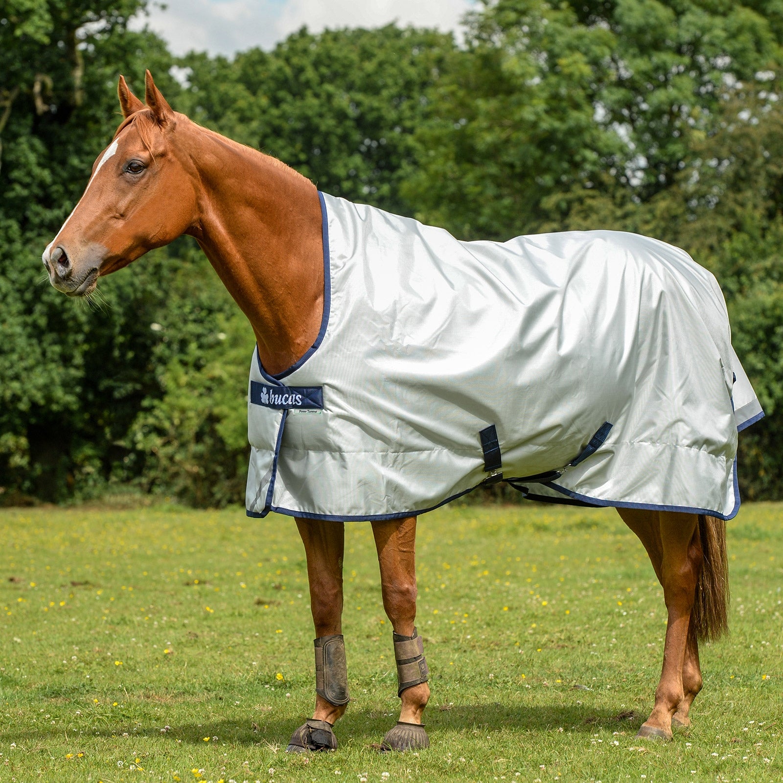 Bucas Power Turnout Extra High Neck, 300g Horse Rugs