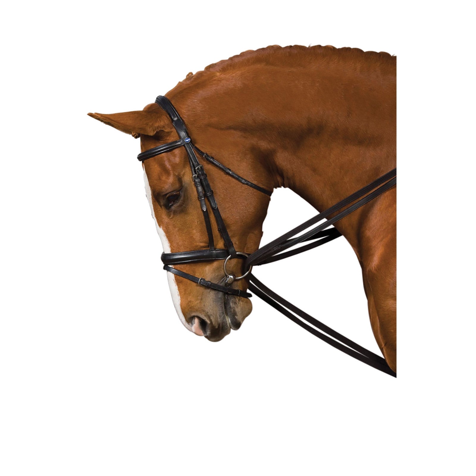 Kincade Web Draw Reins Ogłowia i wodze