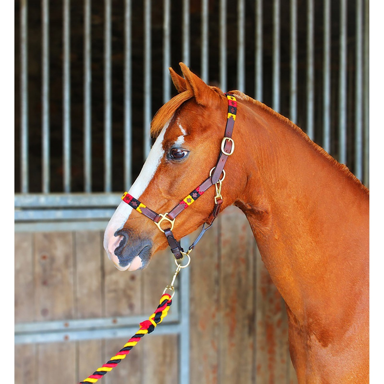 Chukka Leather Headcollar Kantary i uwiązy