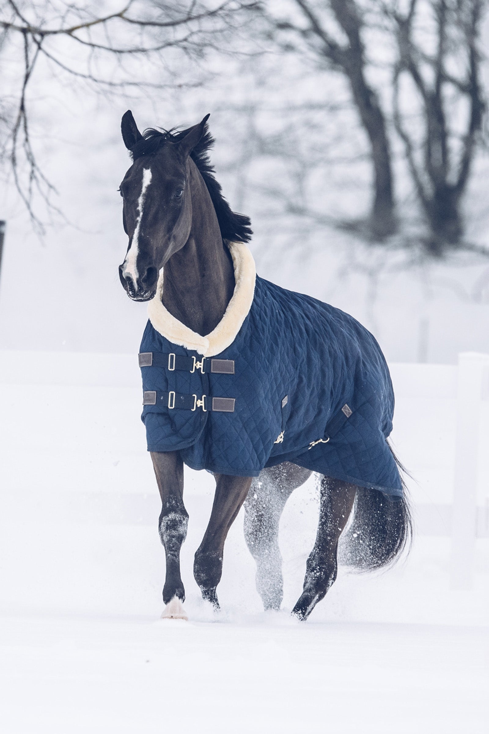 Kentucky Horsewear Show Rug, 160g Horse Rugs