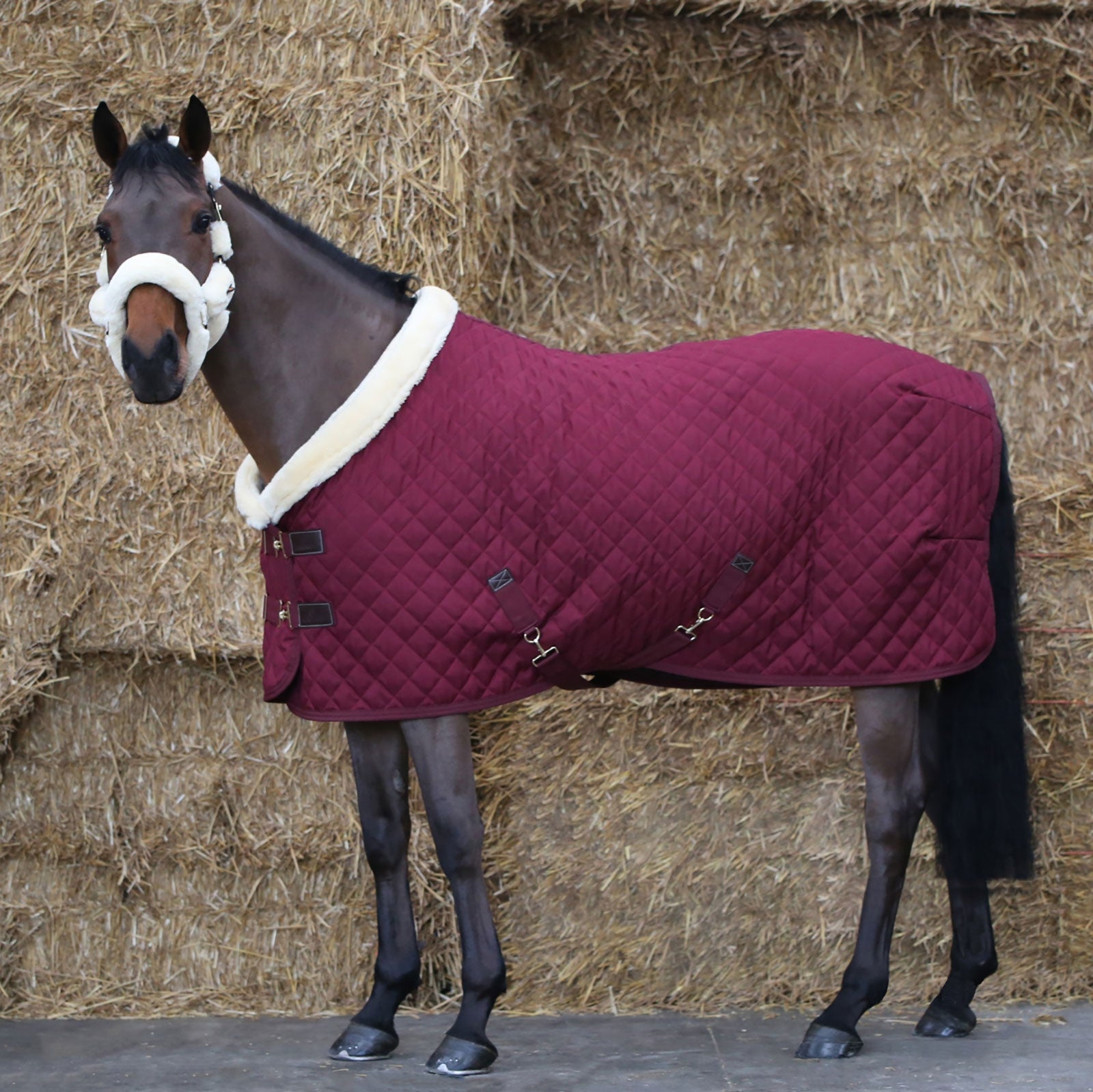 Kentucky Horsewear Derka konkursowa 160g Derki