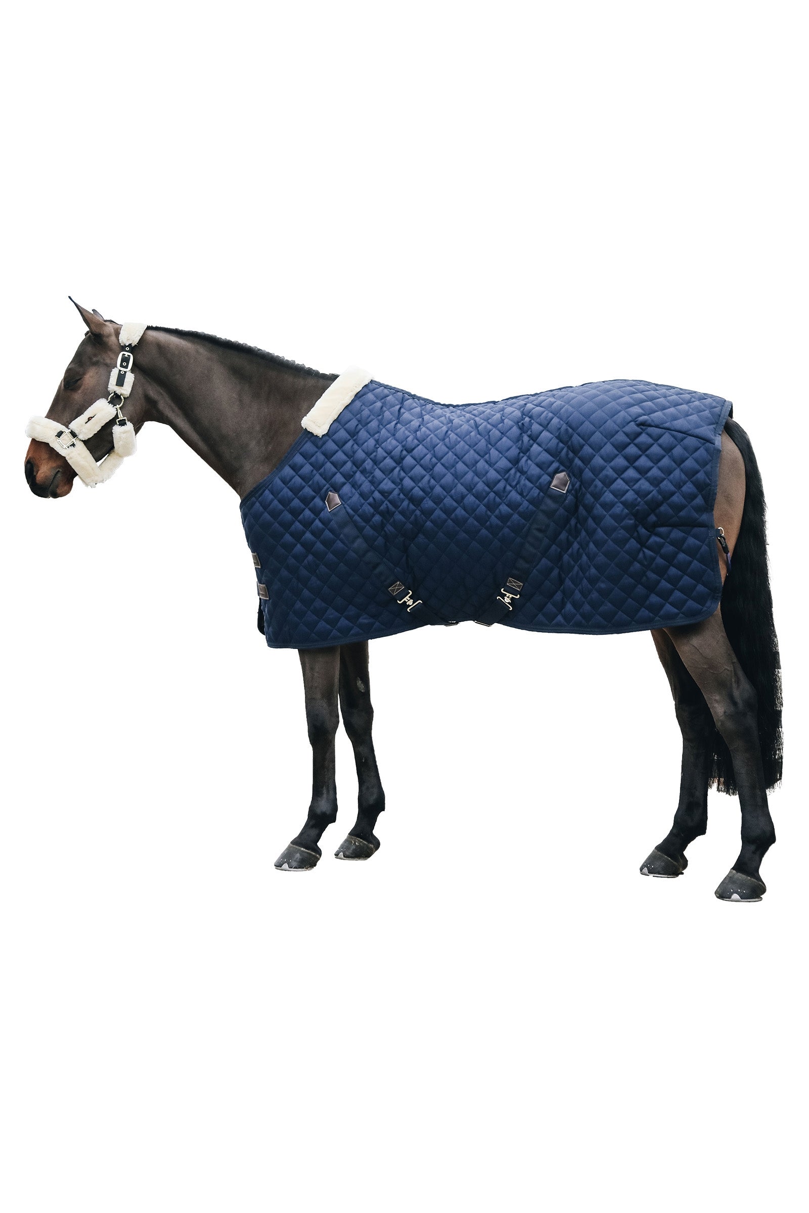 Kentucky Horsewear Stable Rug, 400g Horse Rugs