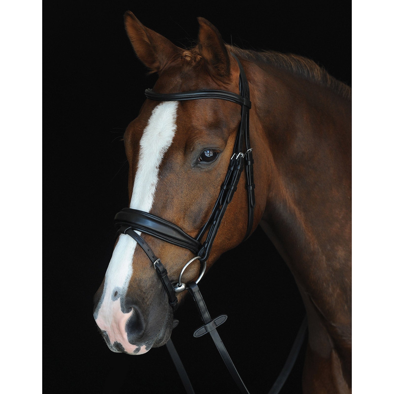 Collegiate Mono Crown Padded Raised Flash Bridle Ogłowia i wodze