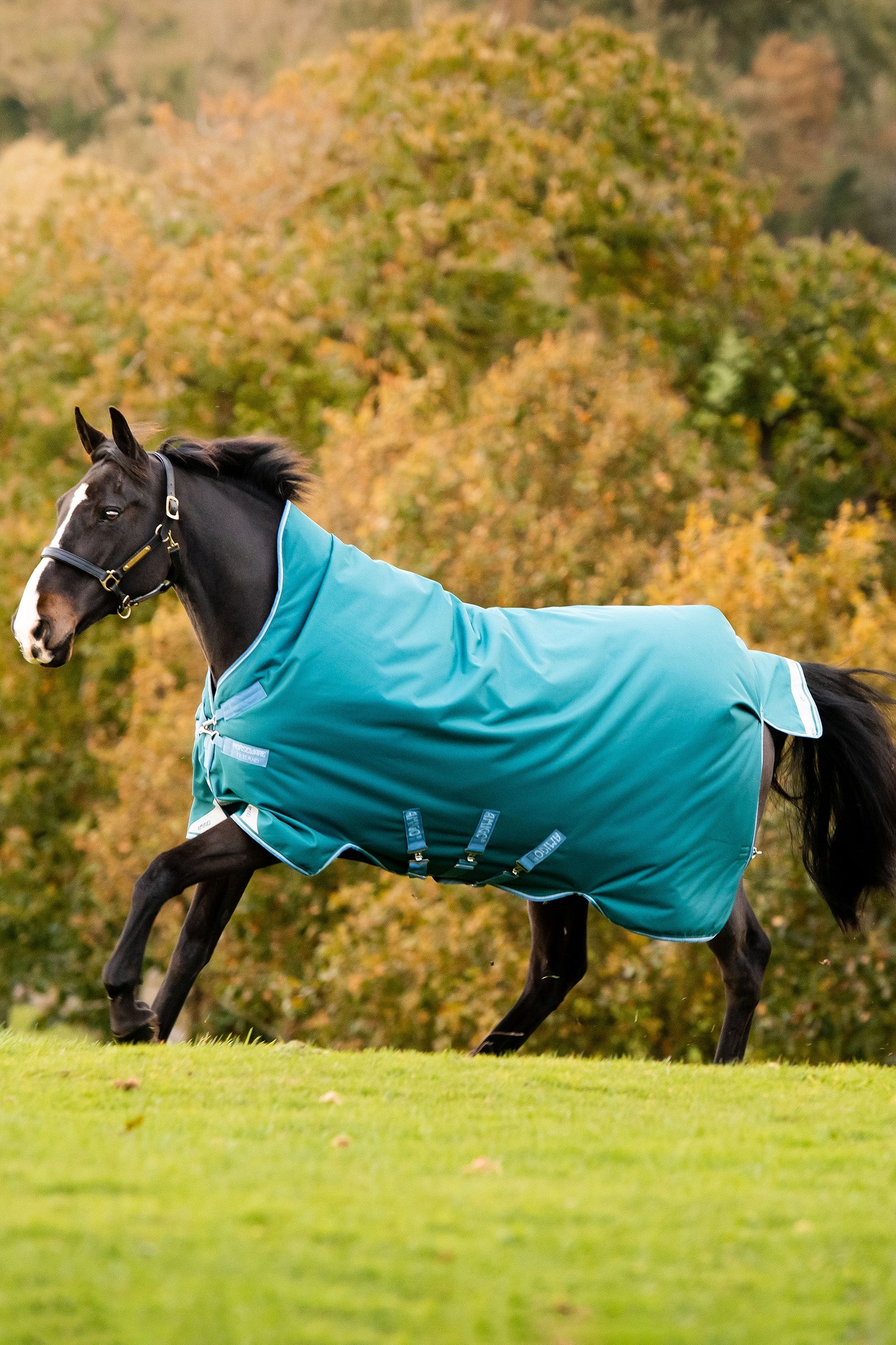 Horseware Amigo Bravo 12 Wug derka padokowa z wysoką szyją, 0 g Derki