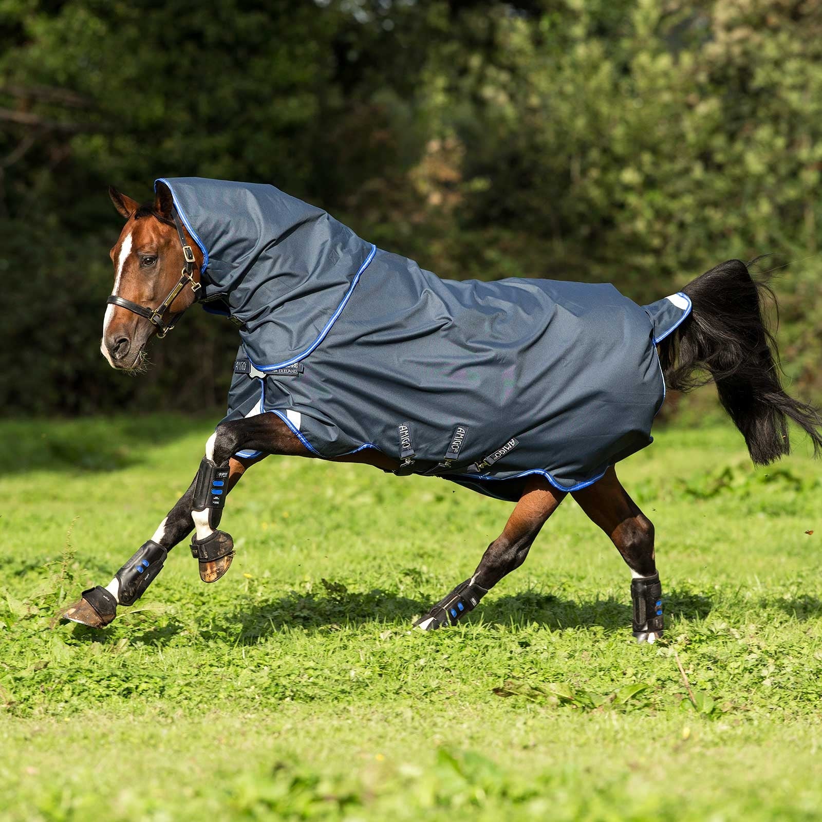 Horseware Derka padokowa Amigo Bravo 12 Plus z zapięciem na dysk i odpinanym kapturem, 0g Derki