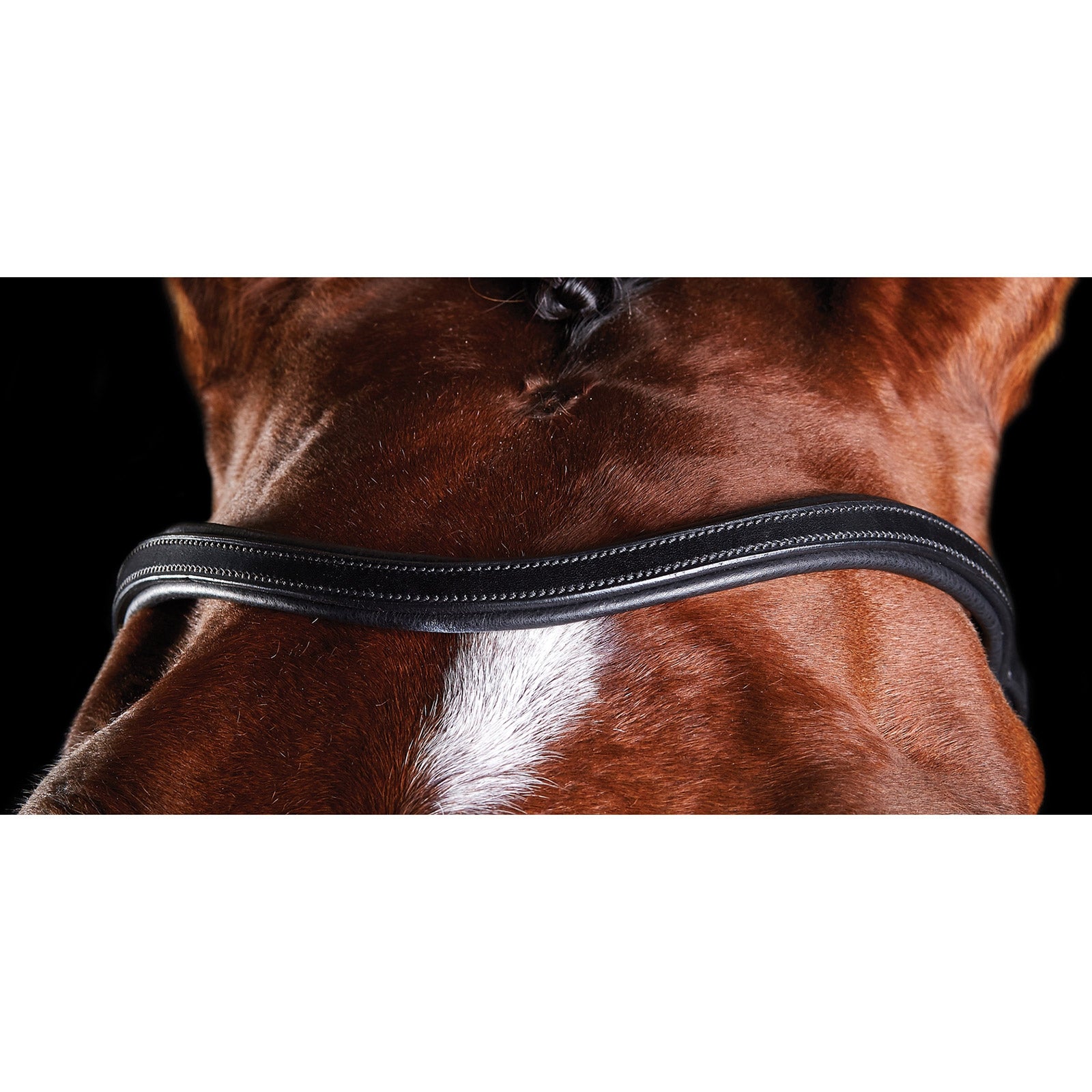 Collegiate ComFiTec Training Bridle Bridles & Reins