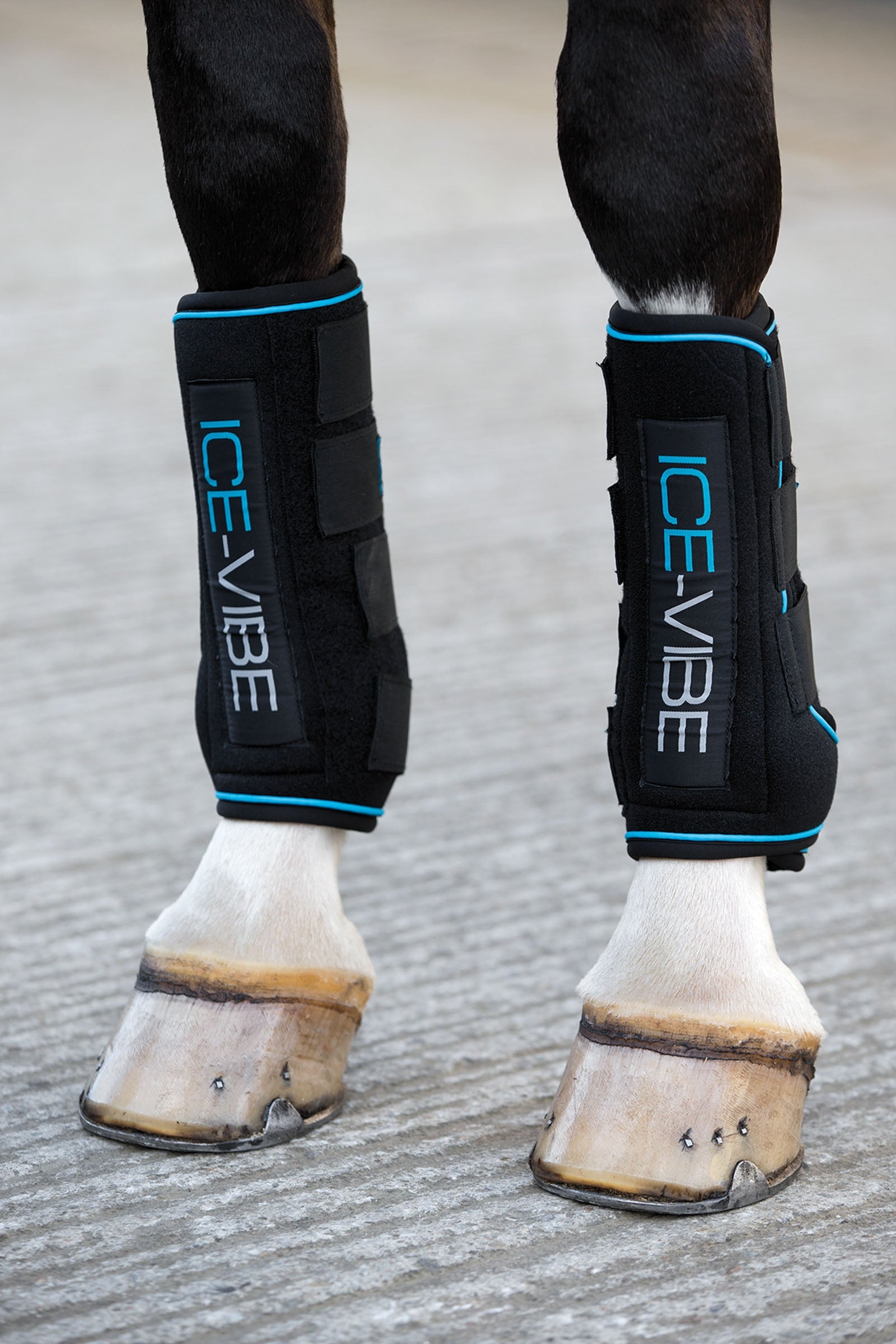 Horseware Ochraniacze Ice-Vibe Leg Protection & Hoof Protection for Horses