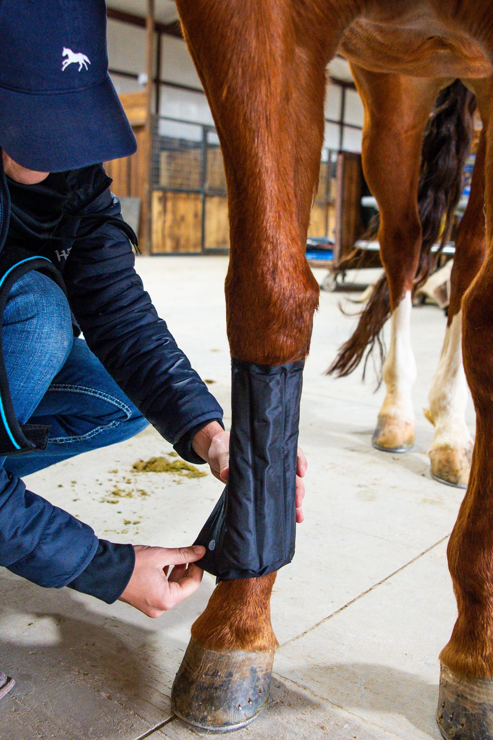 Horseware Ice-Vibe Boots Leg Protection & Hoof Protection for Horses