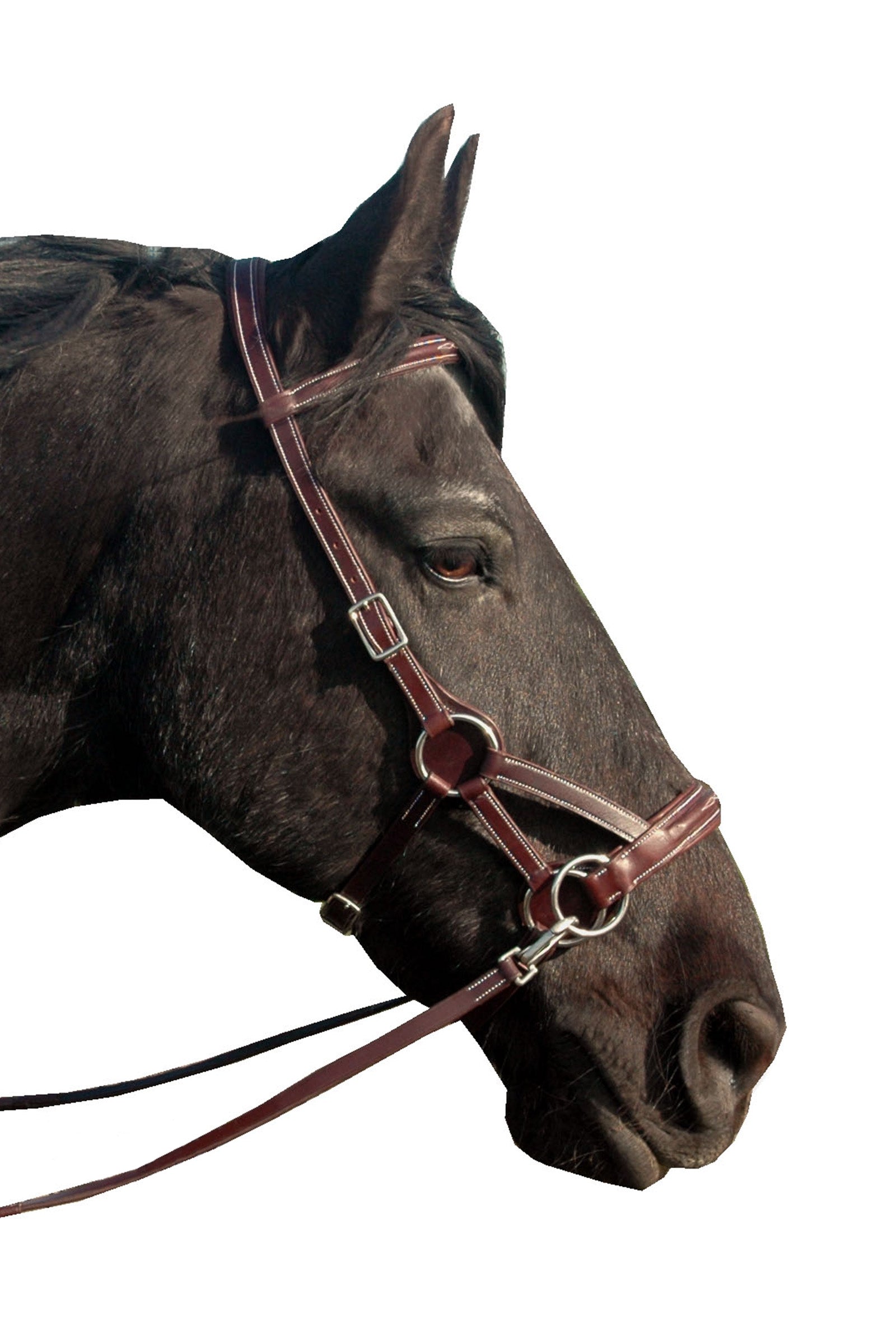 F.R.A. Freedom Riding Articles Flandy  /side Pull (System 3) English Leather Bridles & Reins