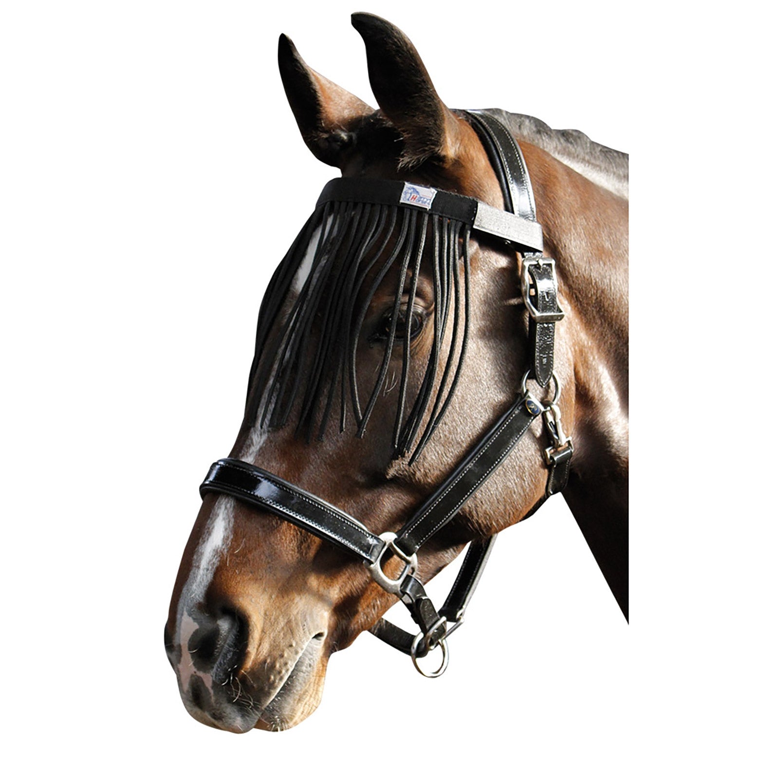 Harry's Horse Naczółek z frędzlami Fly Ochrona koni przed owadami
