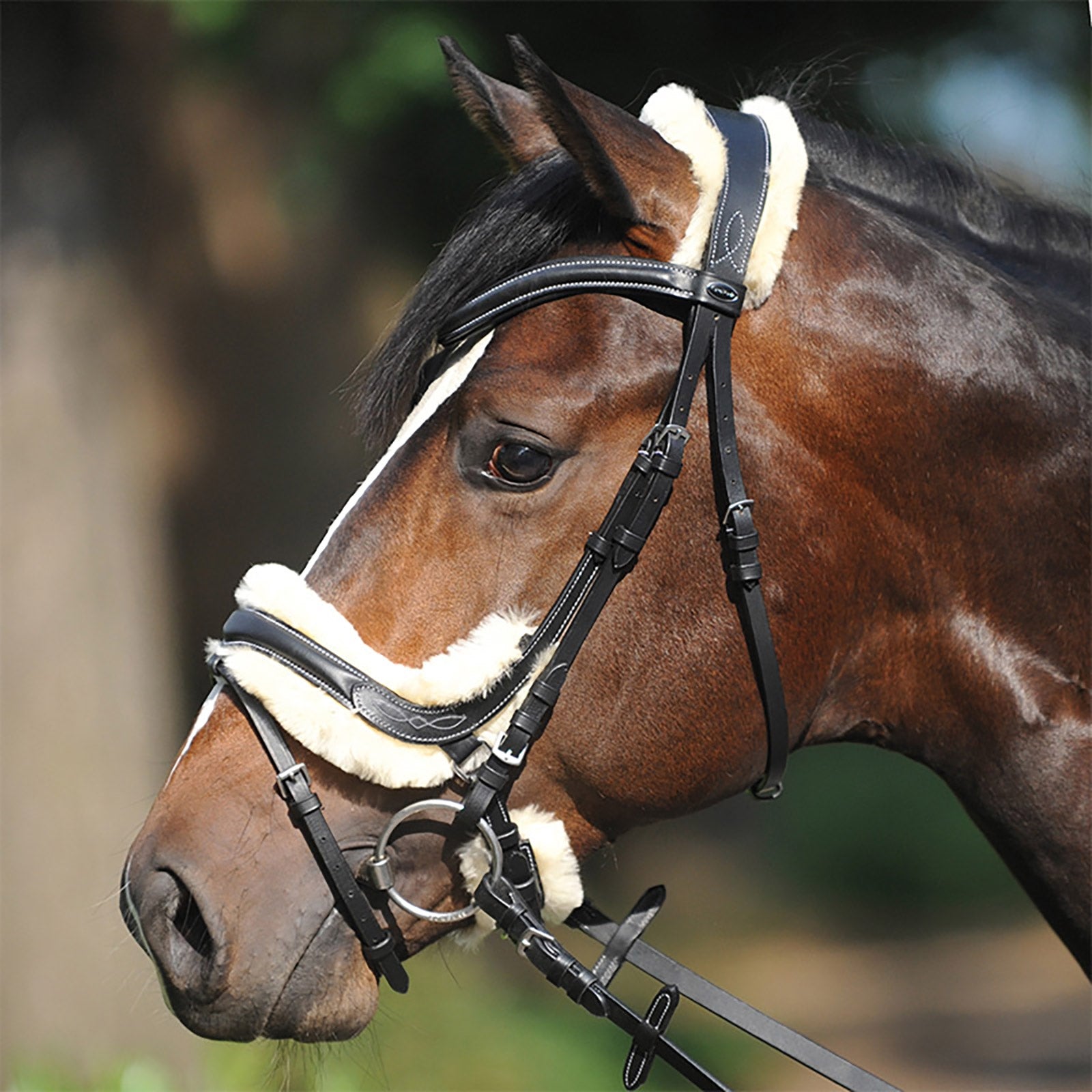 Kavalkade Ivy Sheepskin Bridle Bridles & Reins