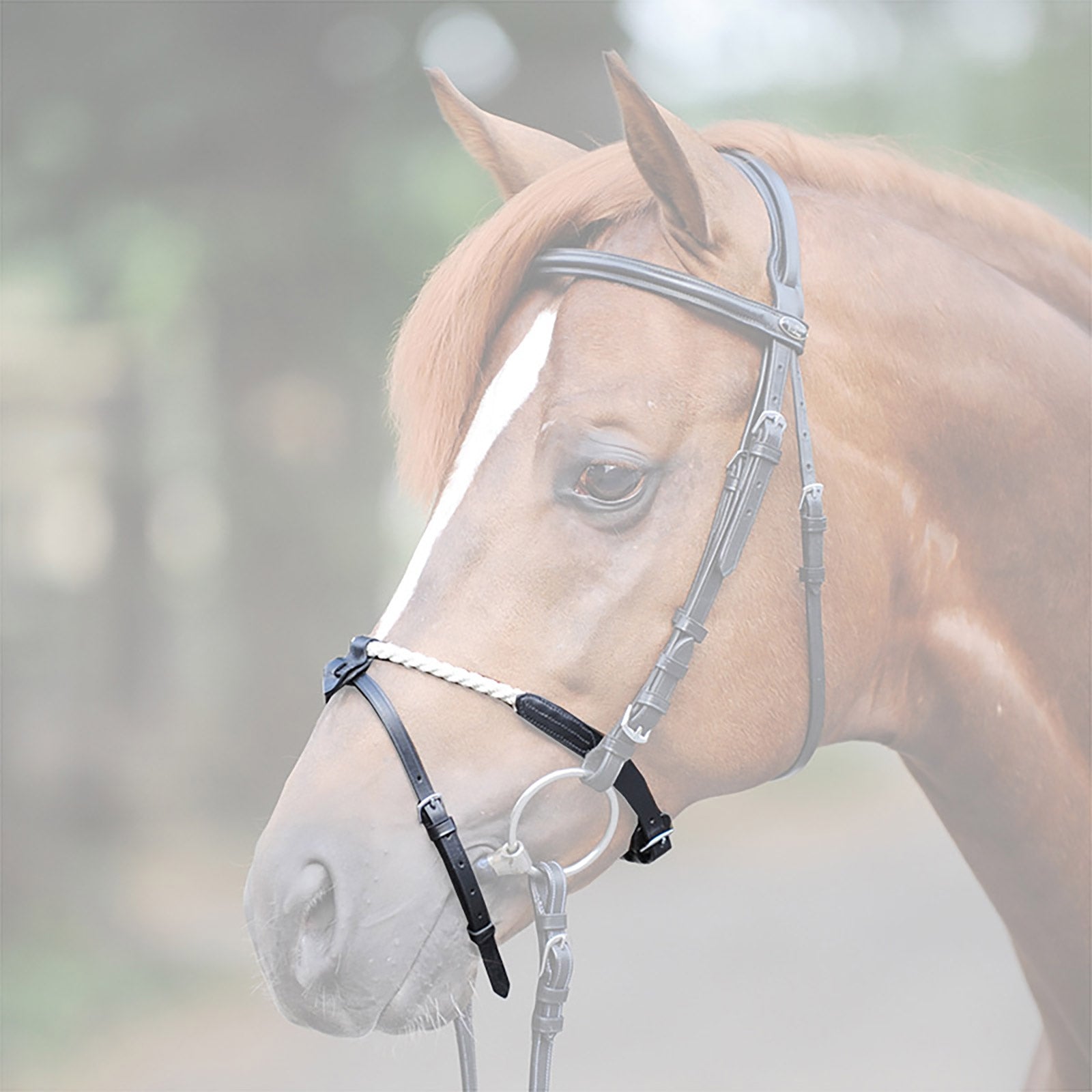 Kavalkade Rope noseband Ogłowia i wodze