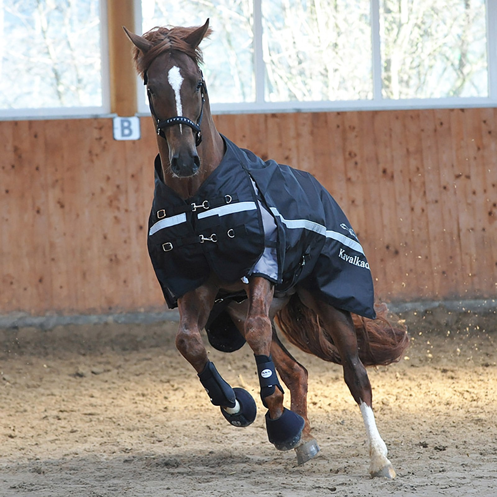 Kavalkade Alaska IV Turnout Rug, 100 g Horse Rugs