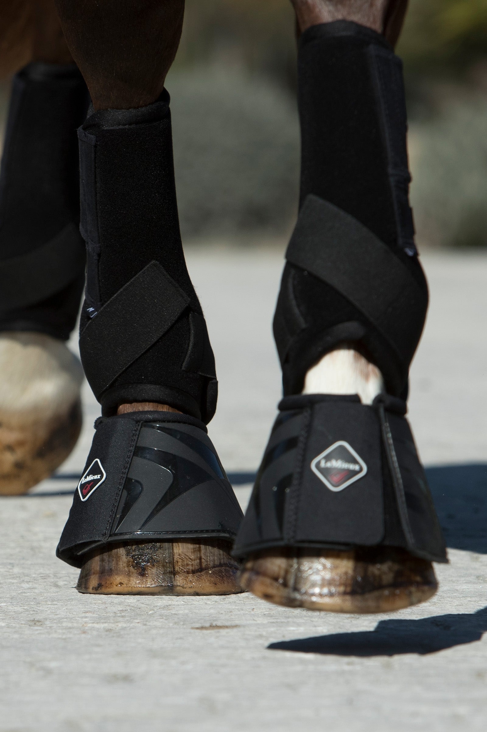 LeMieux Kaloszki ProShell Leg Protection & Hoof Protection for Horses