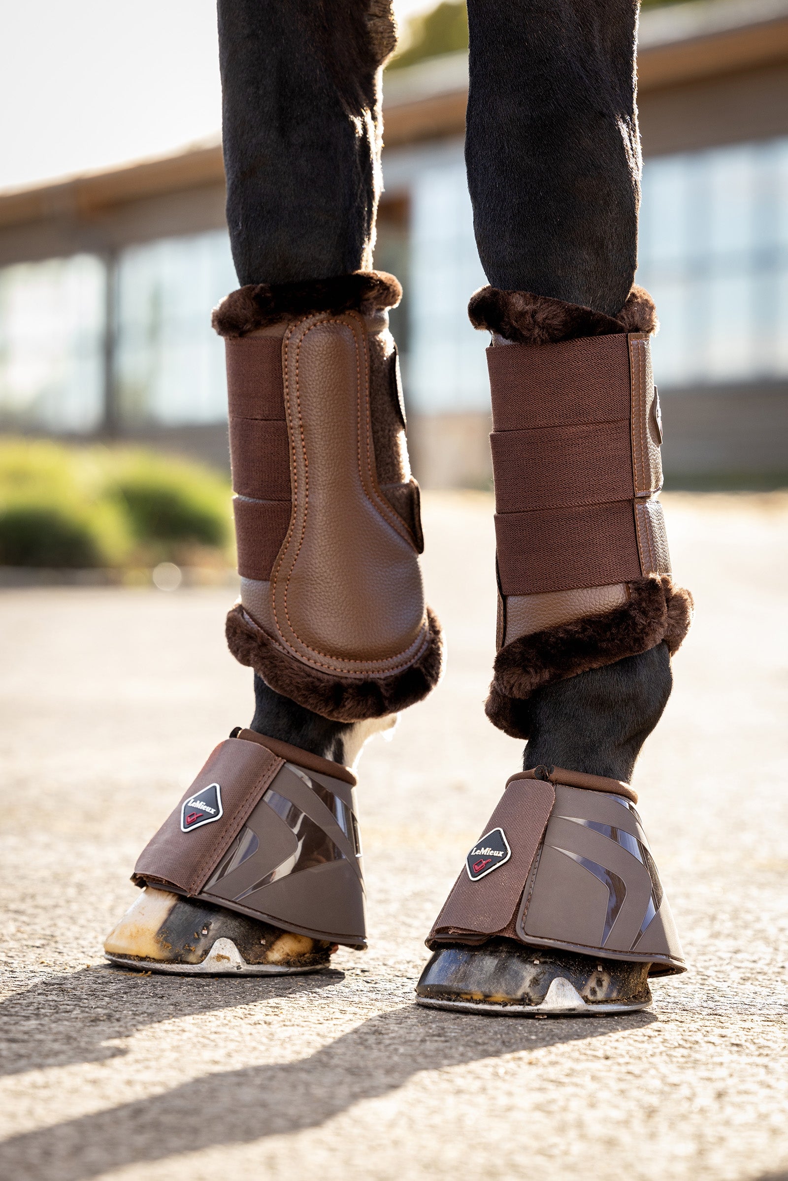 LeMieux Kaloszki ProShell Leg Protection & Hoof Protection for Horses