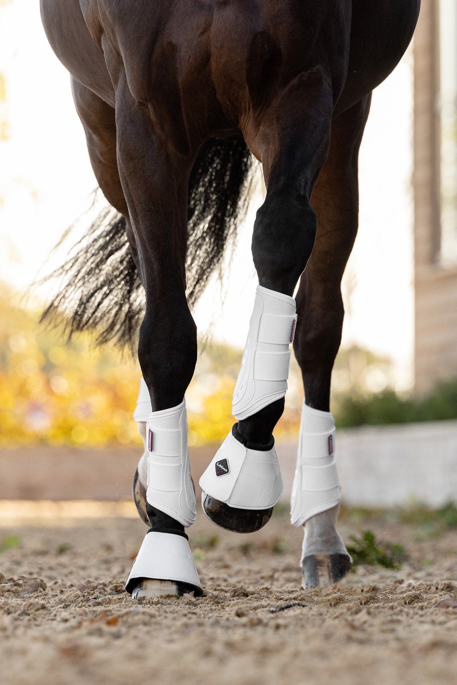 LeMieux Kaloszki ProShell Leg Protection & Hoof Protection for Horses