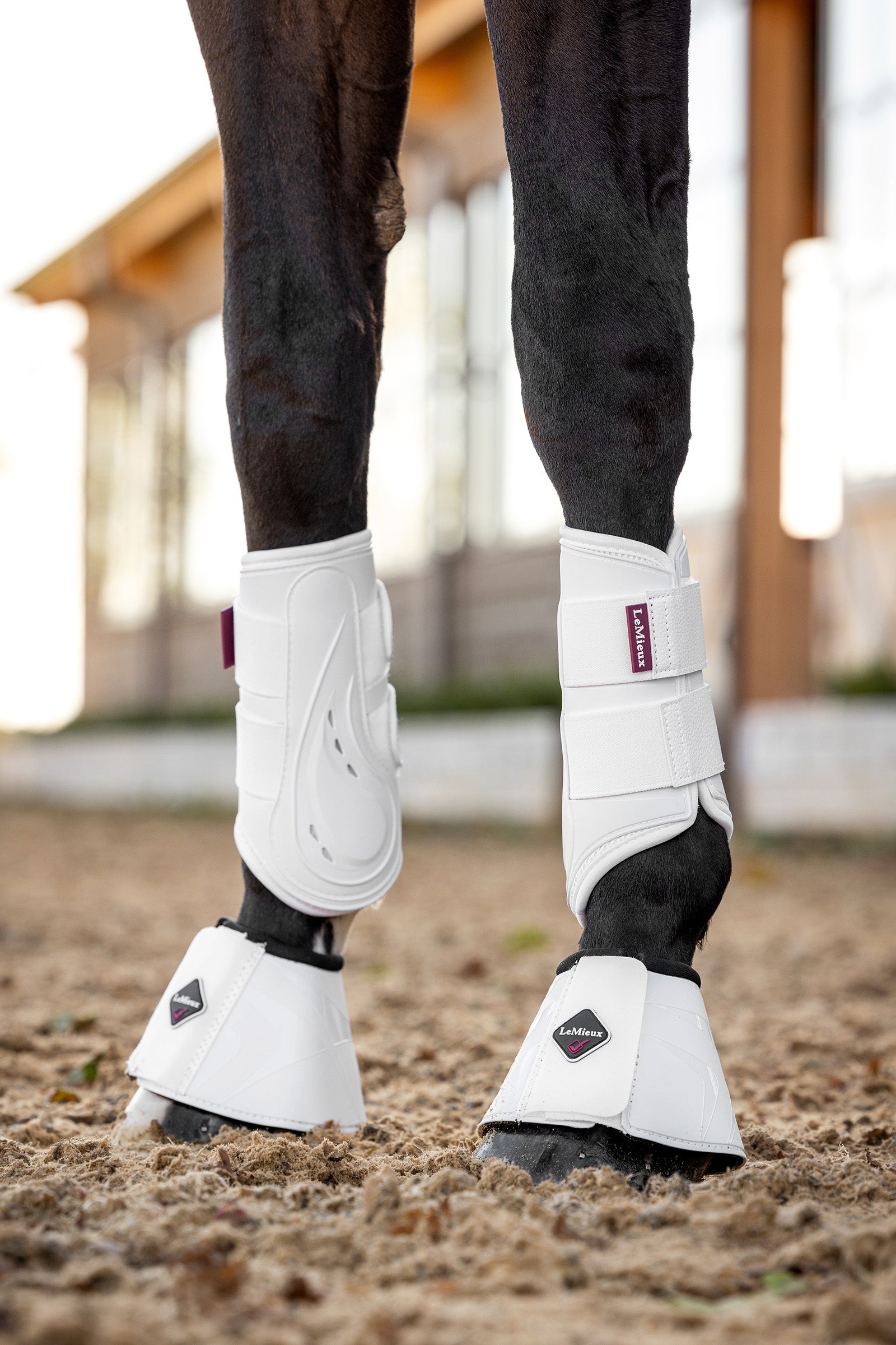LeMieux ProShell Over Reach Boot Leg Protection & Hoof Protection for Horses
