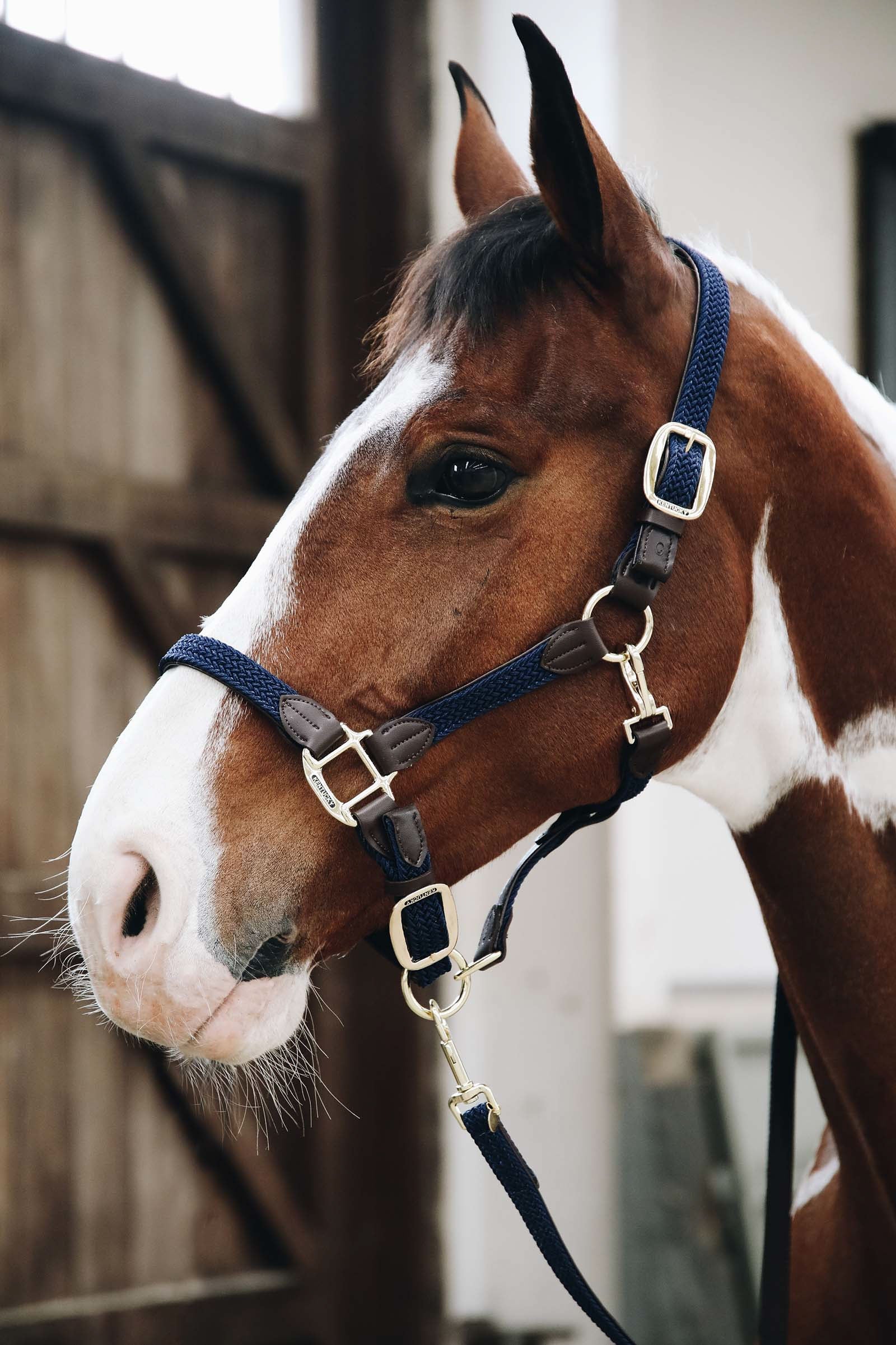 Kentucky Horsewear Kantar pleciony, nylonowy Kentucky Kantary i uwiązy