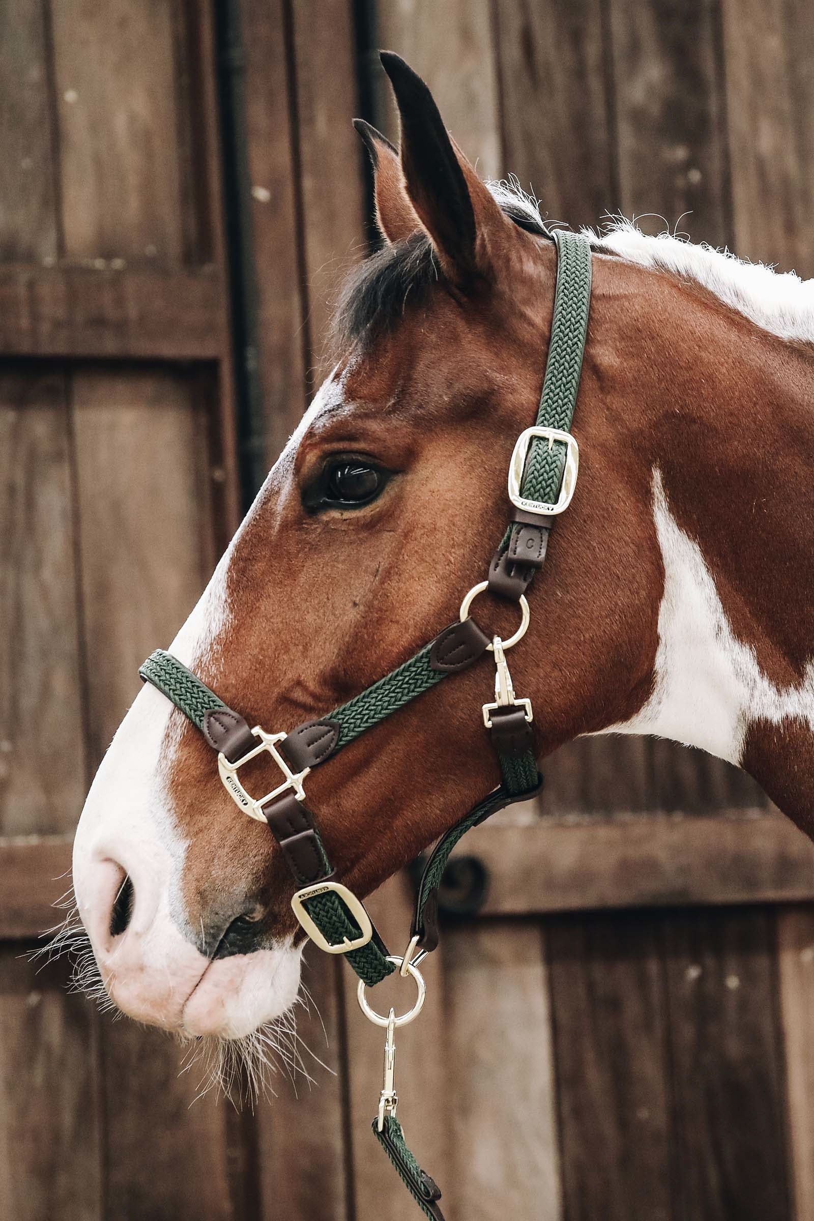 Kentucky Horsewear Kantar pleciony, nylonowy Kentucky Kantary i uwiązy