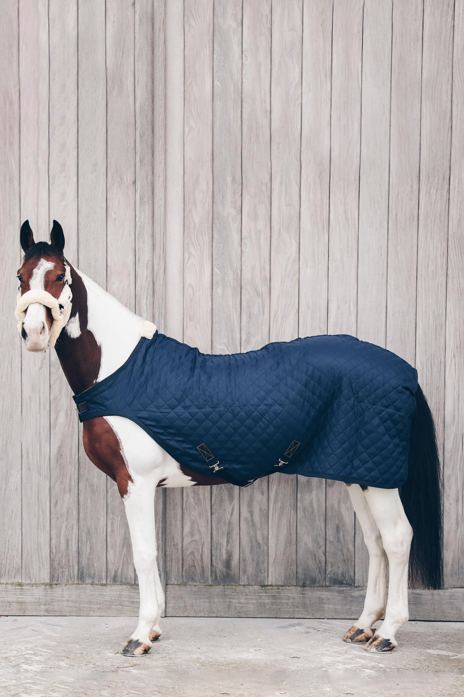 Kentucky Horsewear Derka do karuzeli/na bieżnię Walker, 160g Derki
