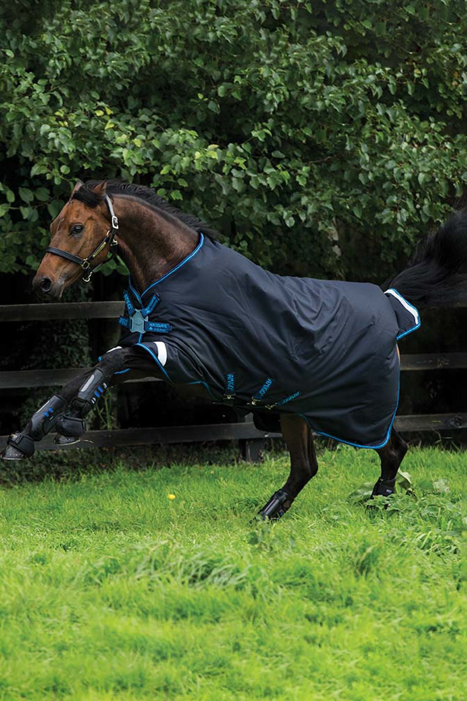 Horseware Derka padokowa Amigo Bravo 12 z zapięciem na dysk, 100g Derki