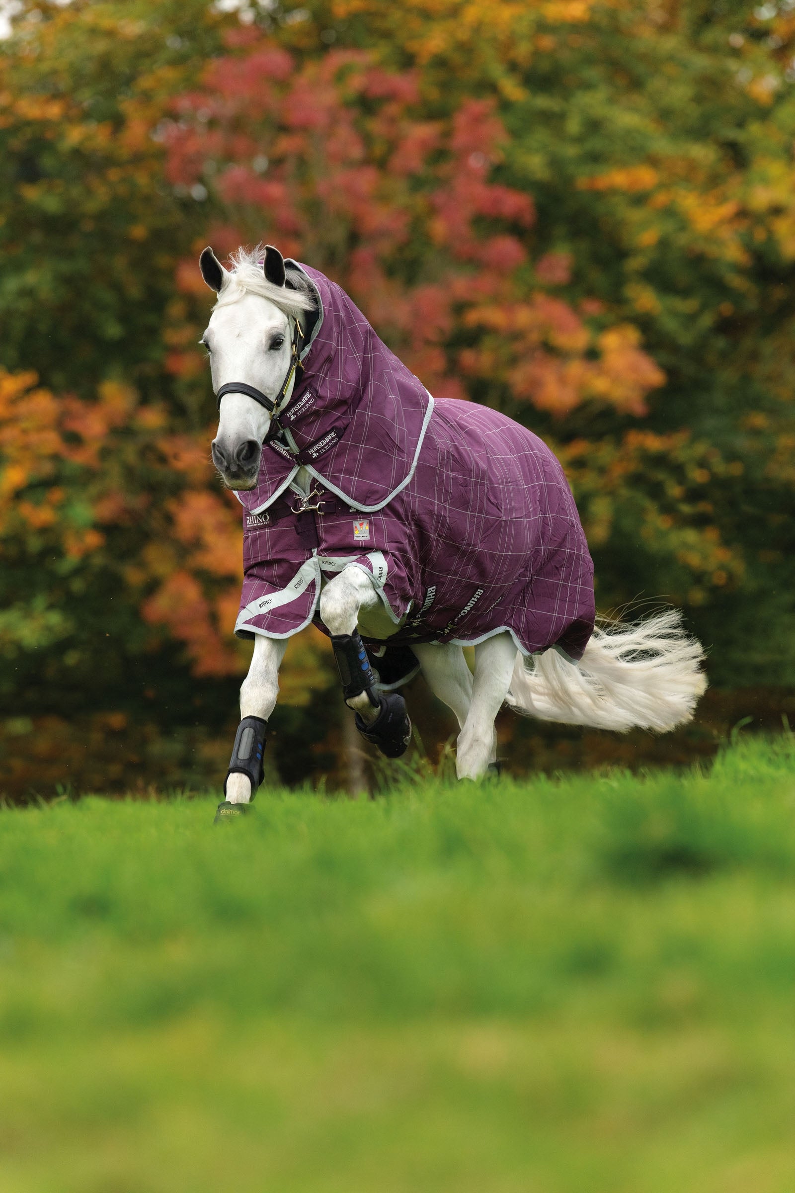 Horseware Derka padokowa Rhino Plus Vari-Layer z odpinanym kapturem, 450g Derki
