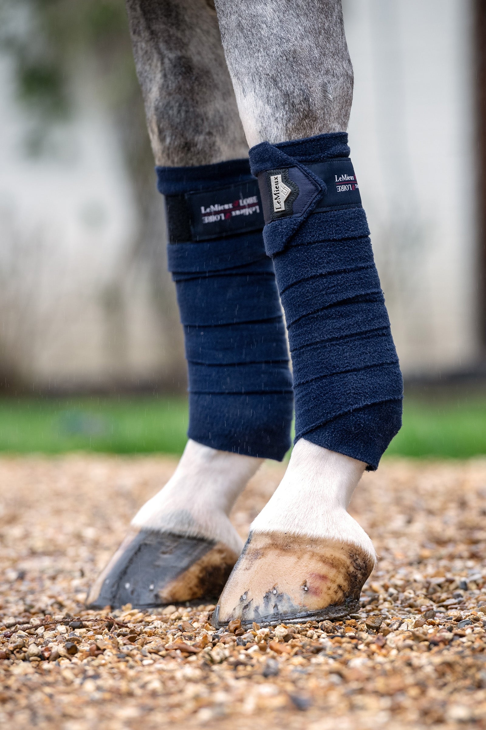 LeMieux Owijki Loire Leg Protection & Hoof Protection for Horses