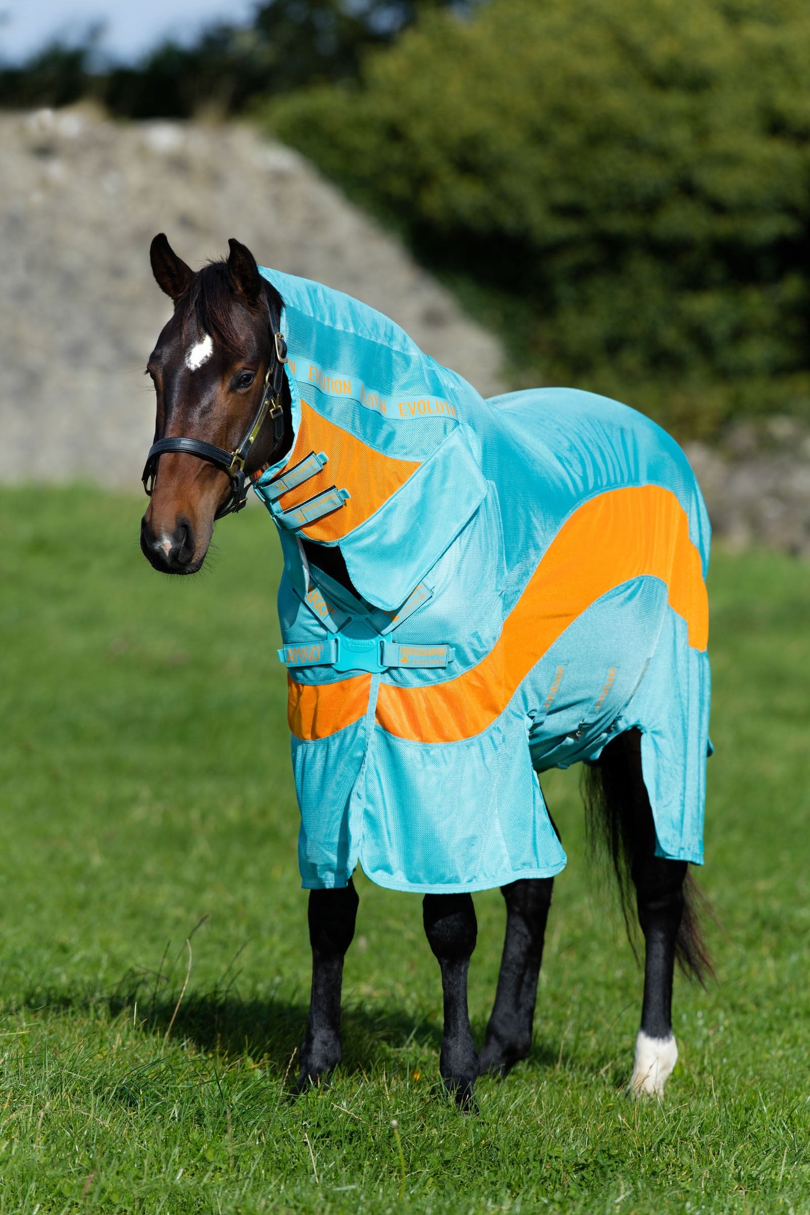 Horseware Amigo Evolution Fly Rug with Fixed Neck Horse Rugs