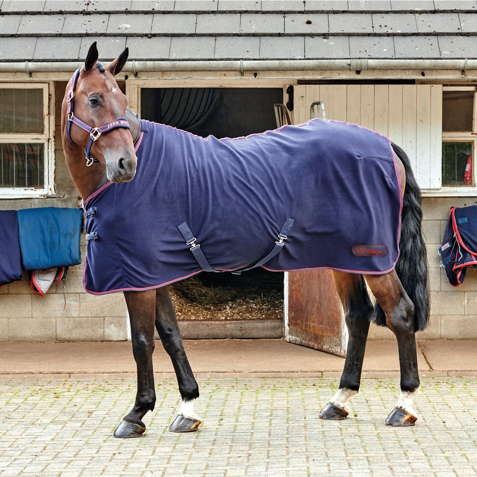 John Whitaker JW Rastrick Fleece rug Derki