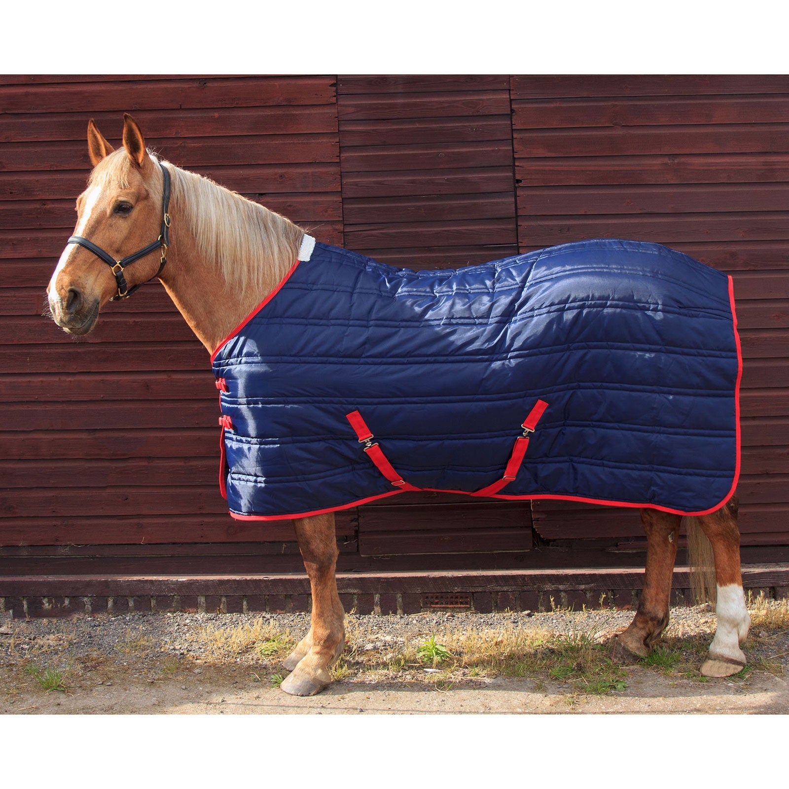 John Whitaker JW Thomas 250g Stable rug Derki