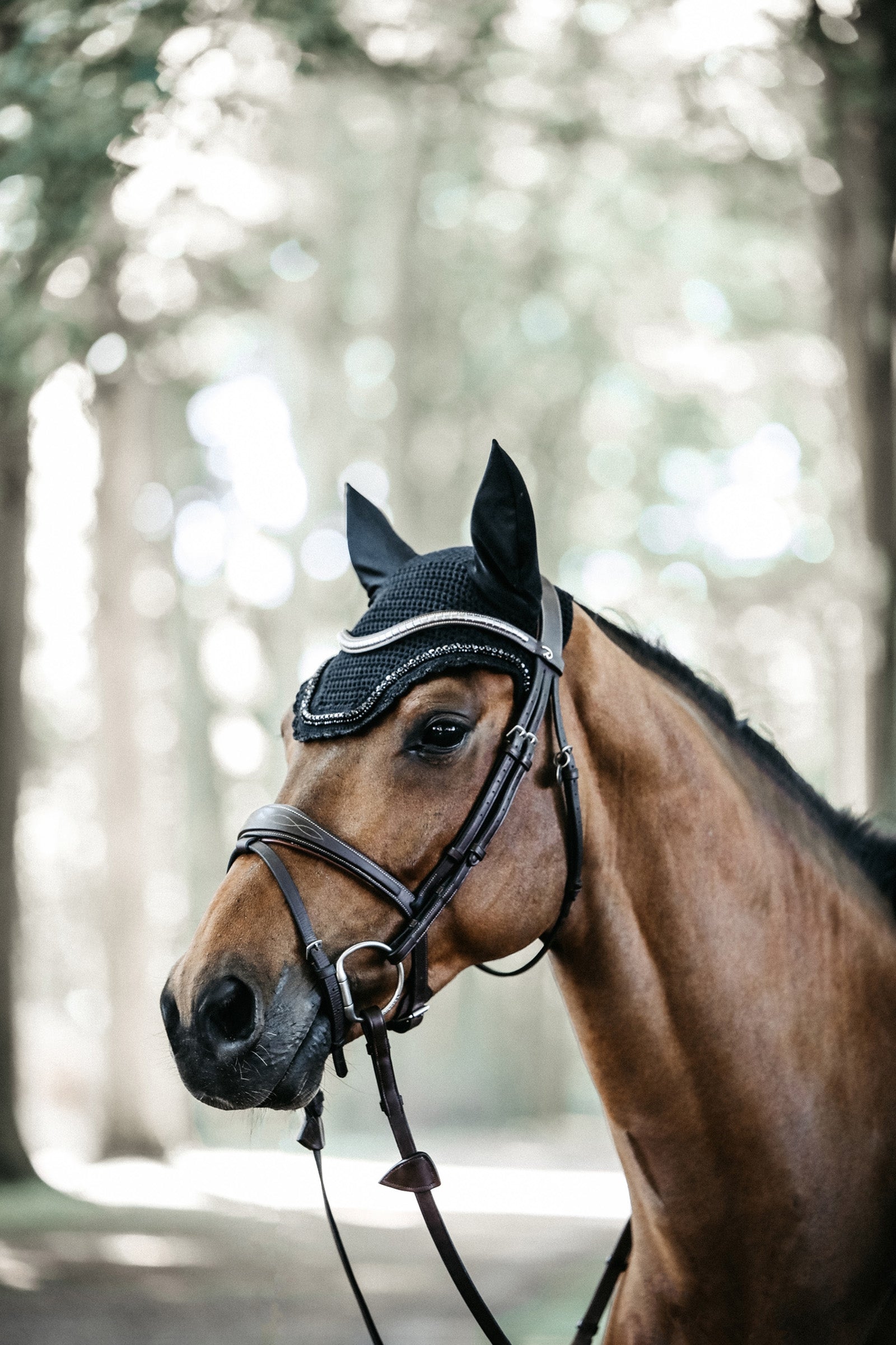 Kentucky Horsewear Fly Veil Wellington Stone & Pearl Saddle Pads