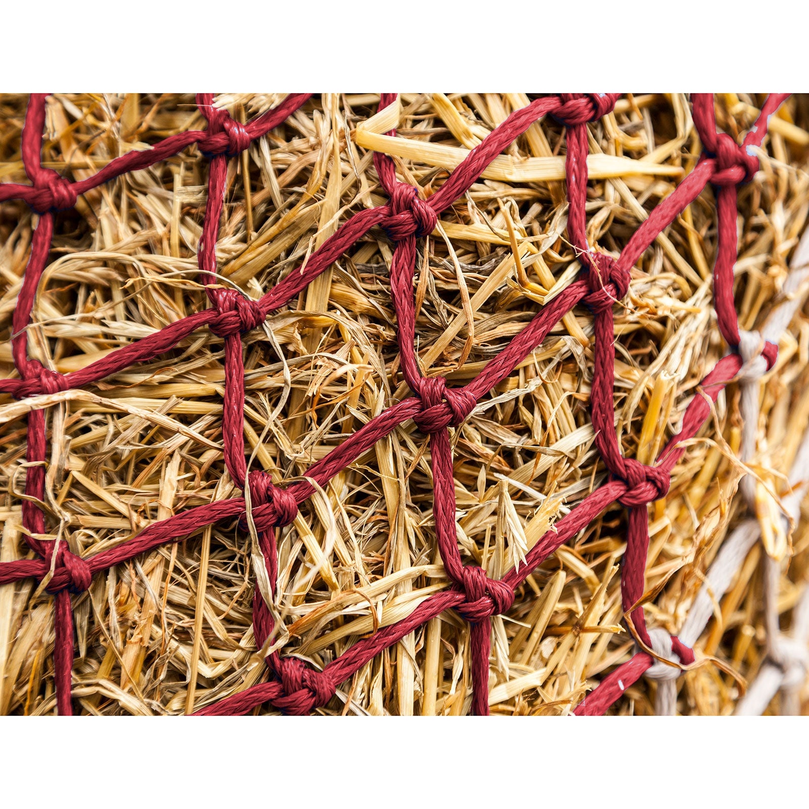 LeMieux Hippo Siatka na siano Karmienie i pojenie