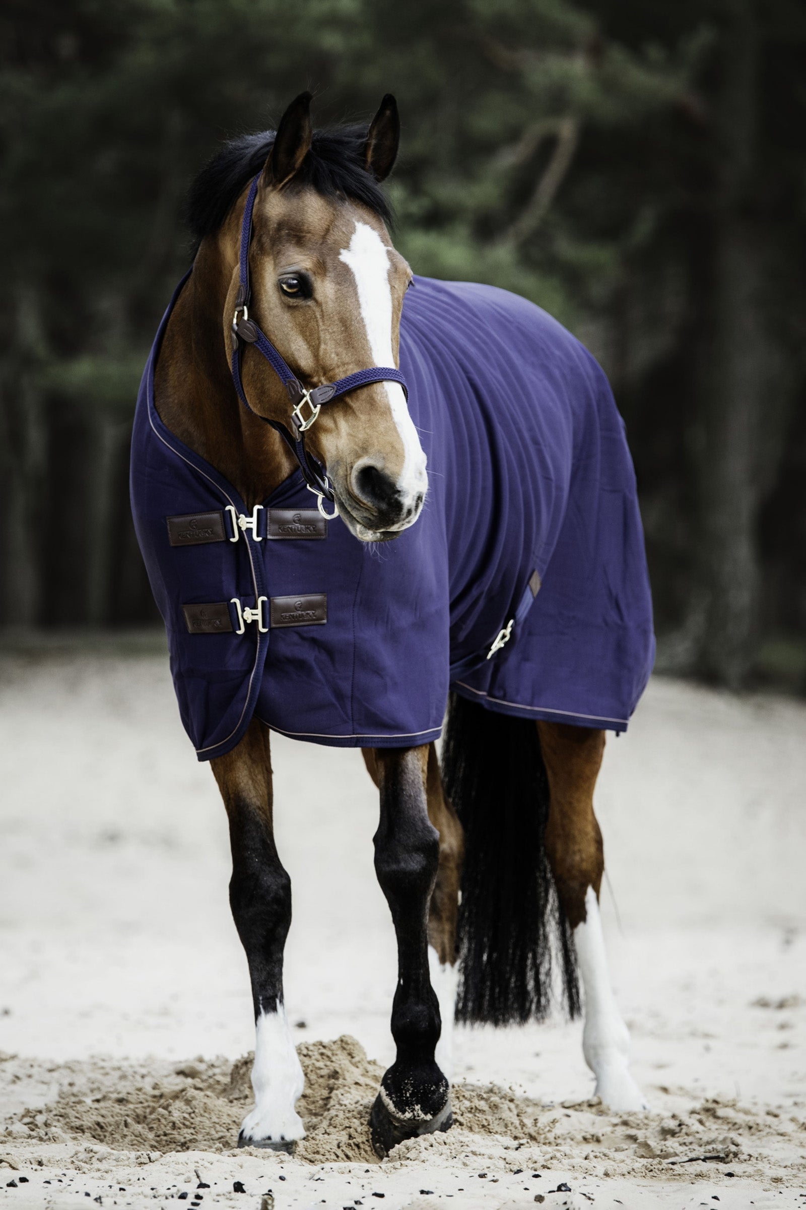 Kentucky Horsewear Derka polarowa Cooler Fleece Derki