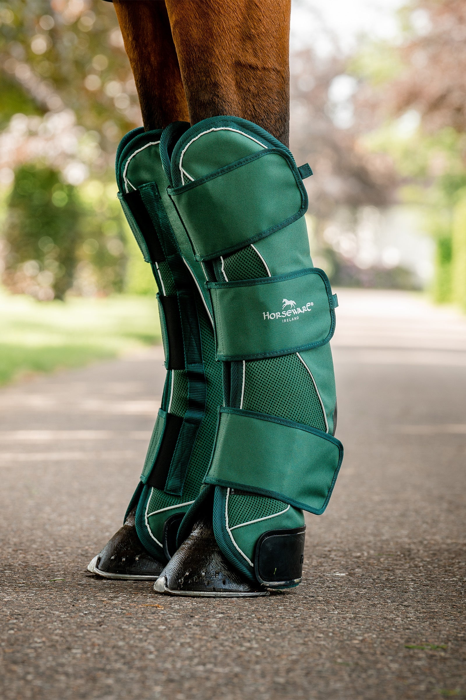 Horseware Signature Chusty Transportowe Leg Protection & Hoof Protection for Horses