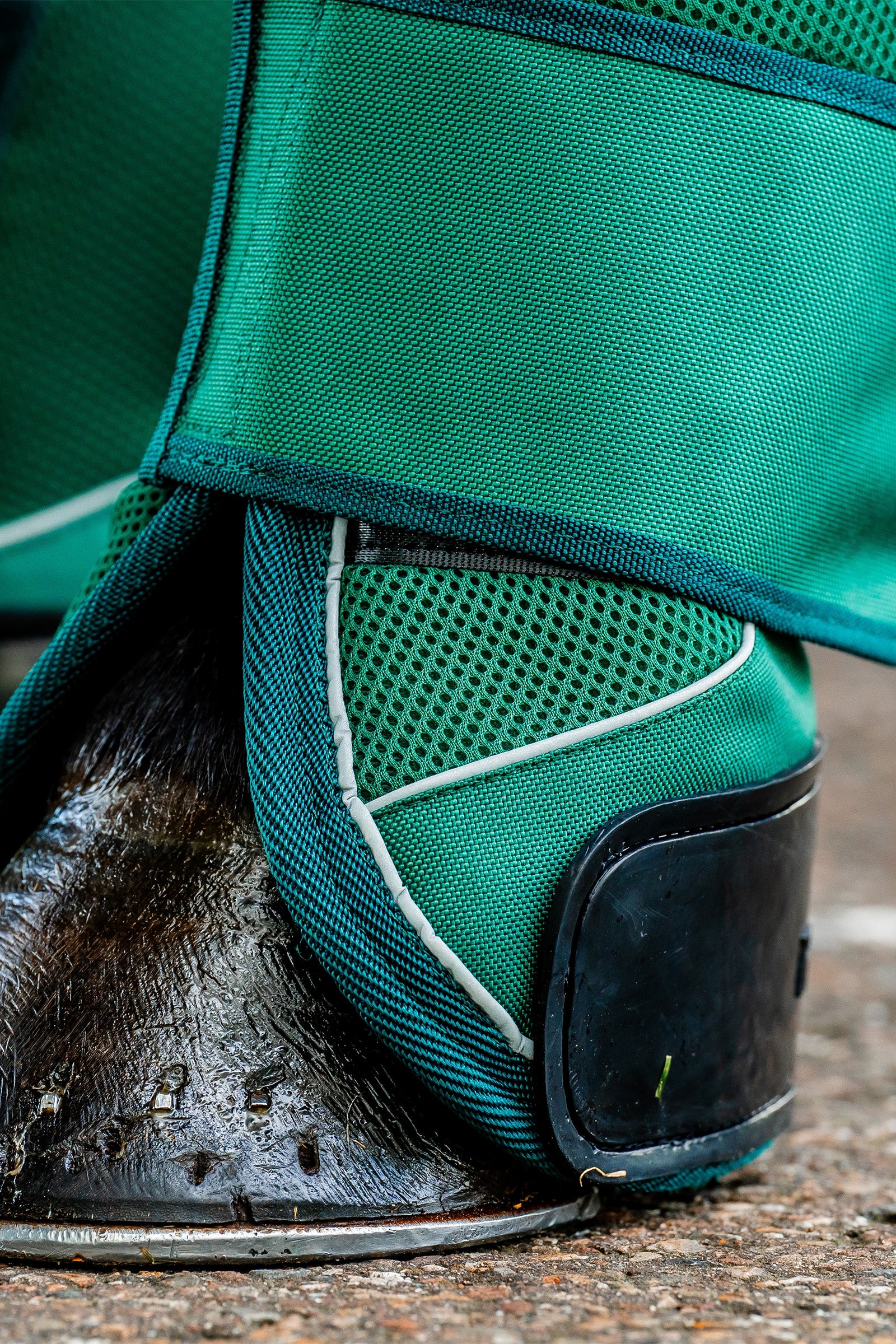 Horseware Signature Travel Boots Leg Protection & Hoof Protection for Horses