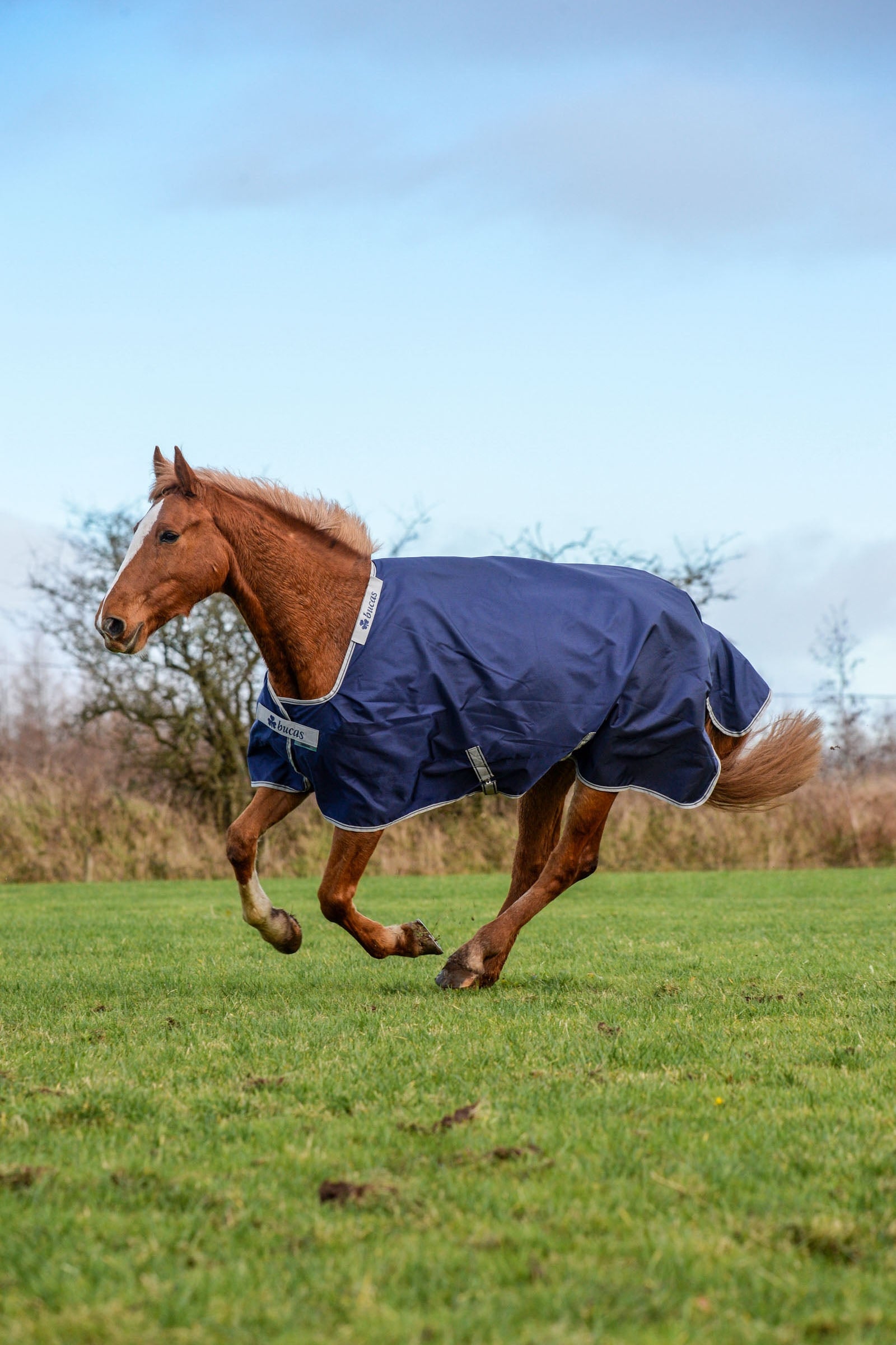 Bucas Atlantic Turnout Rug, 400g Horse Rugs