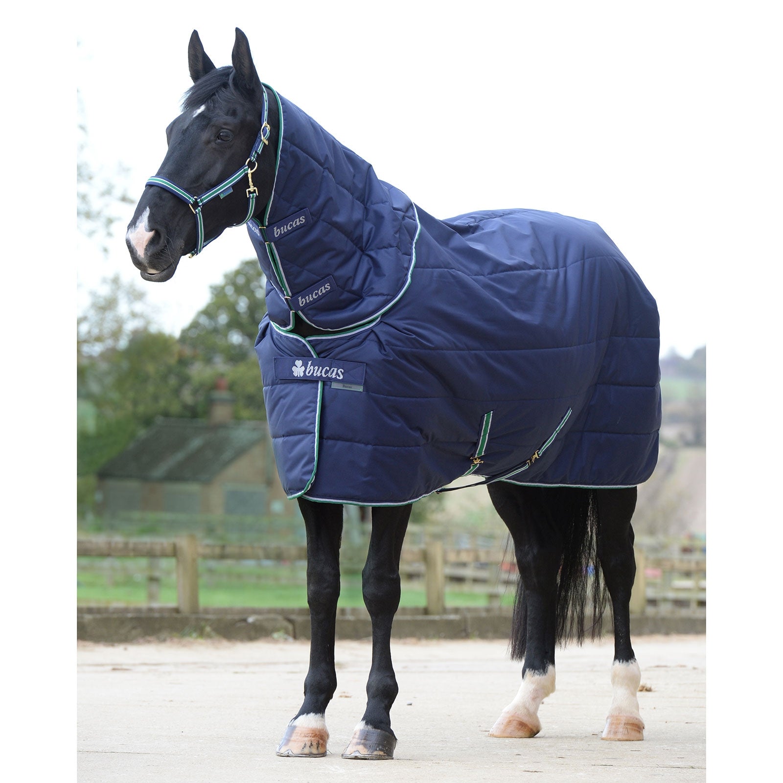 Bucas Quilt Big Neck SF Under Rug, 150g Derki