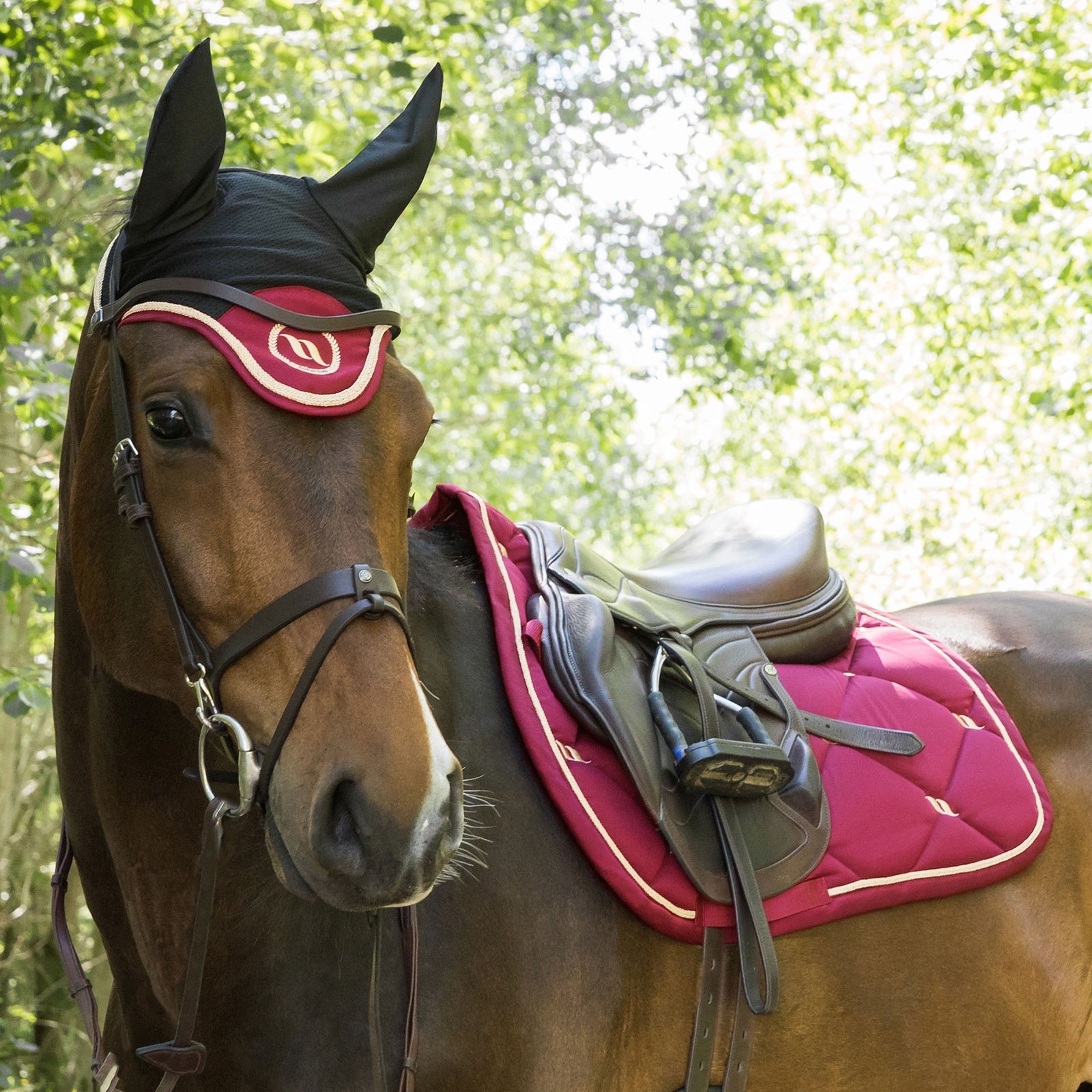 Back on Track Nights Collection Horse Bonnet With Welltex® Saddle Pads