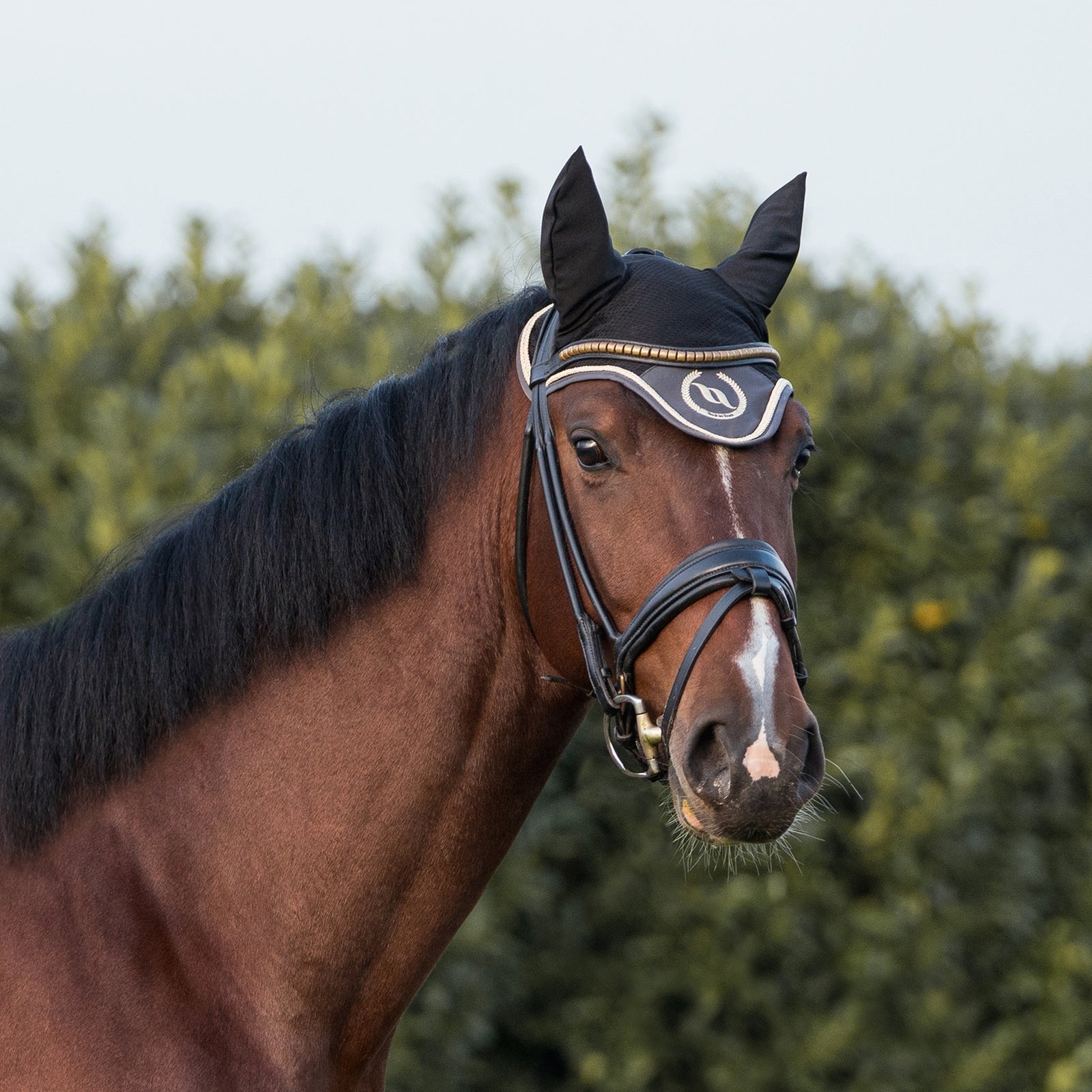 Back on Track Nights Collection Horse Bonnet With Welltex® Saddle Pads