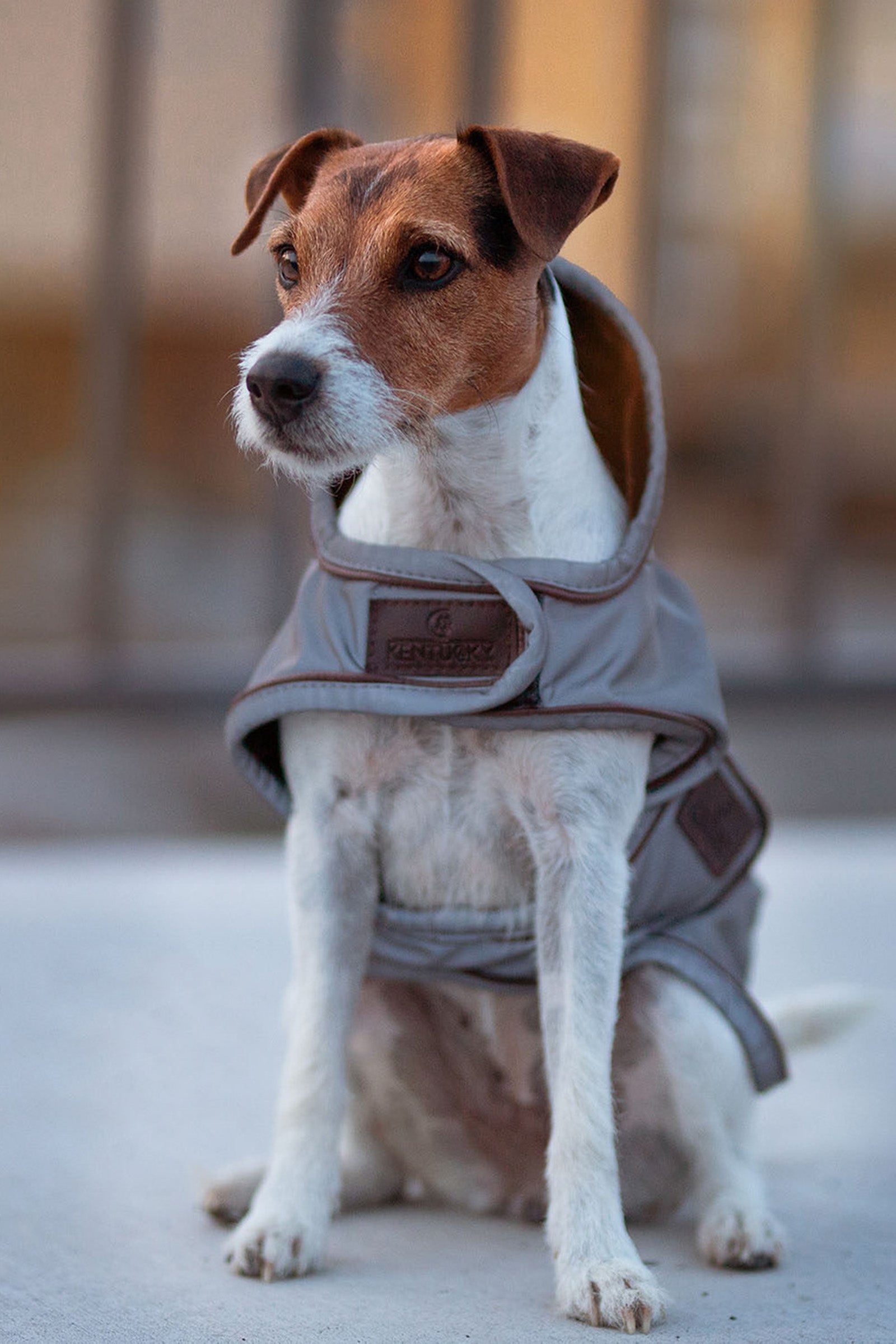 Kentucky Dogwear Derka dla psa odblaskowa i wodoodporna Pies