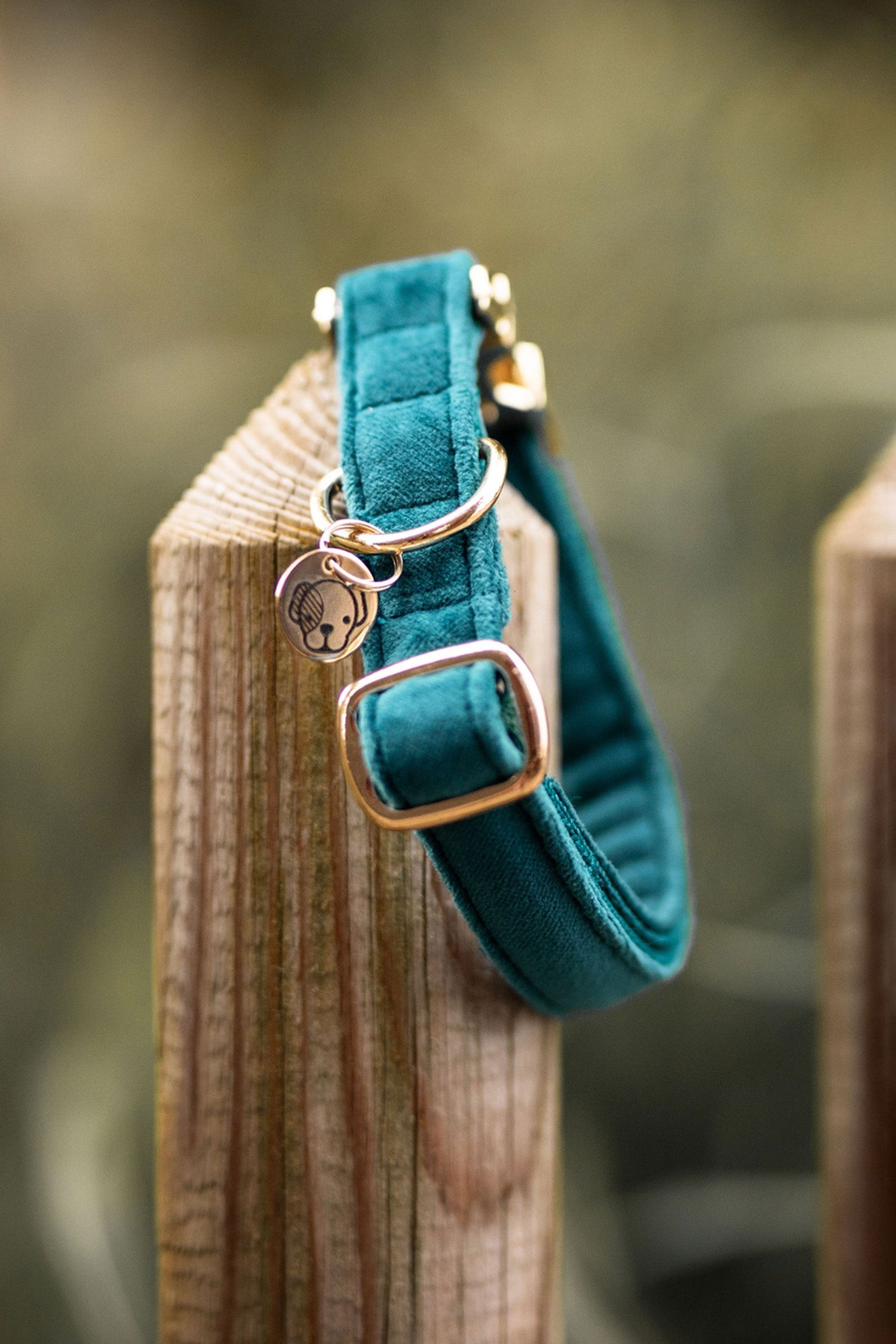 Kentucky Dogwear Dog Collar Velvet Dog Accesories