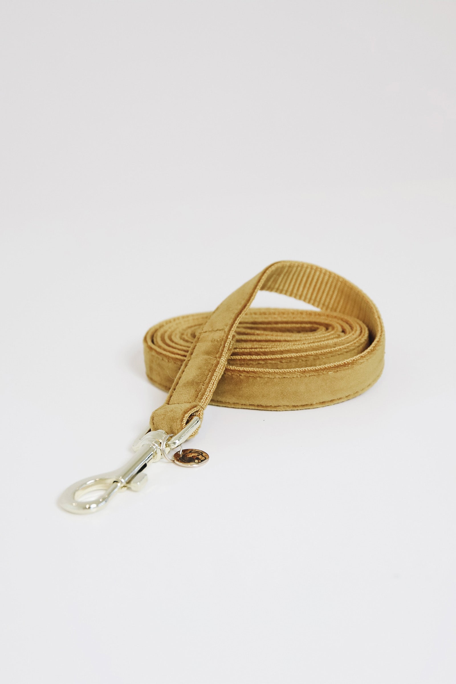 Kentucky Dogwear Smycz dla psa Velvet Pies