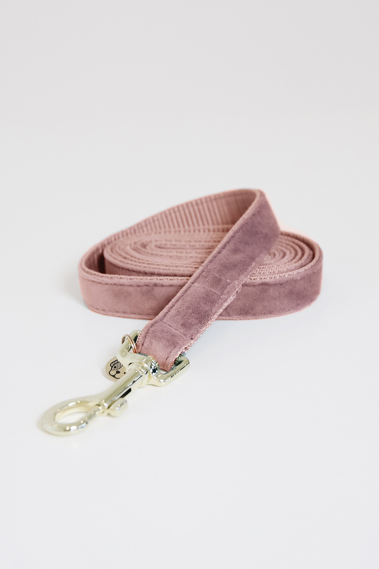 Kentucky Dogwear Smycz dla psa Velvet Pies