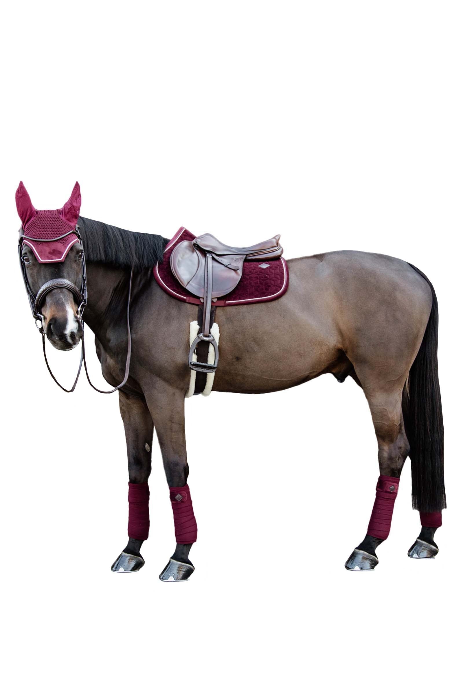 Kentucky Horsewear Velvet Jumping Saddle Pad Saddle Pads