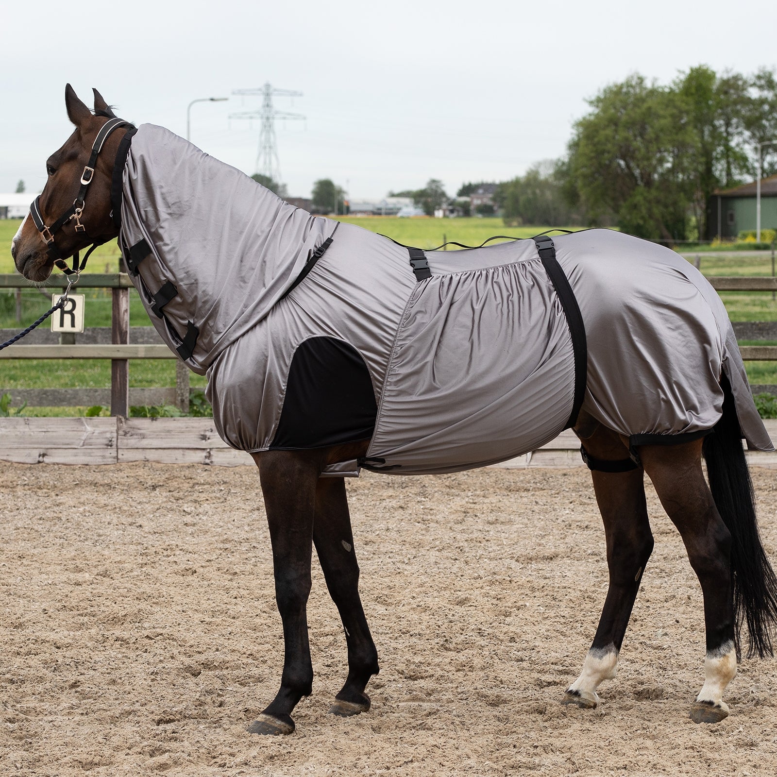 Harry's Horse Sweet Itch Rug with fixed Neck Horse Rugs